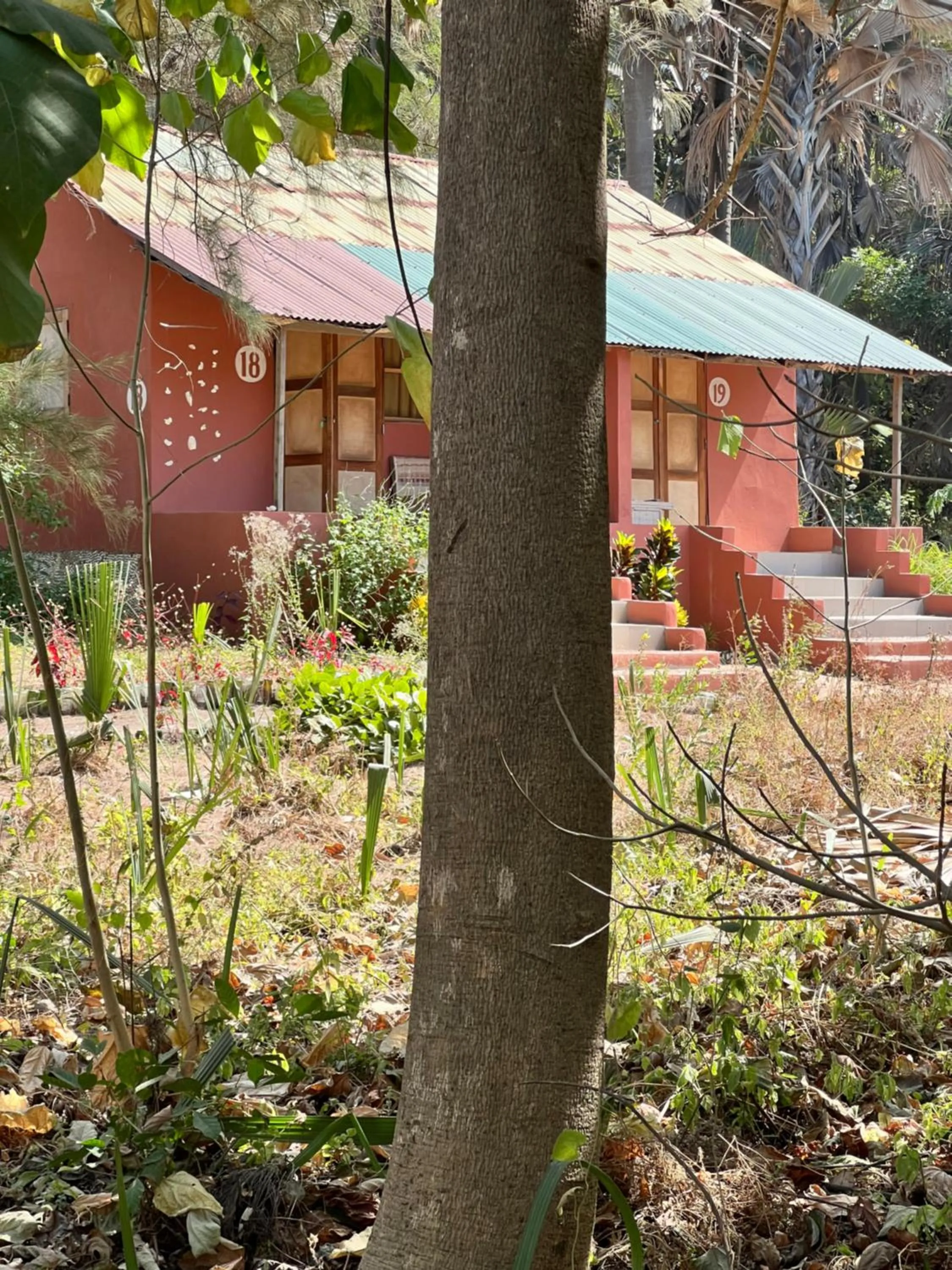 Garden view in Nemasu Eco-lodge