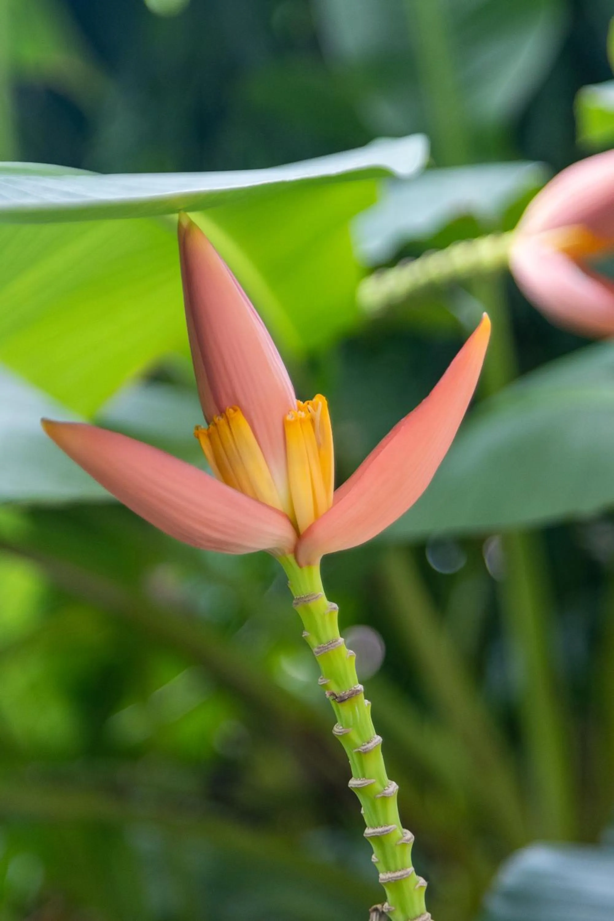 On site in Peaceful Hotel