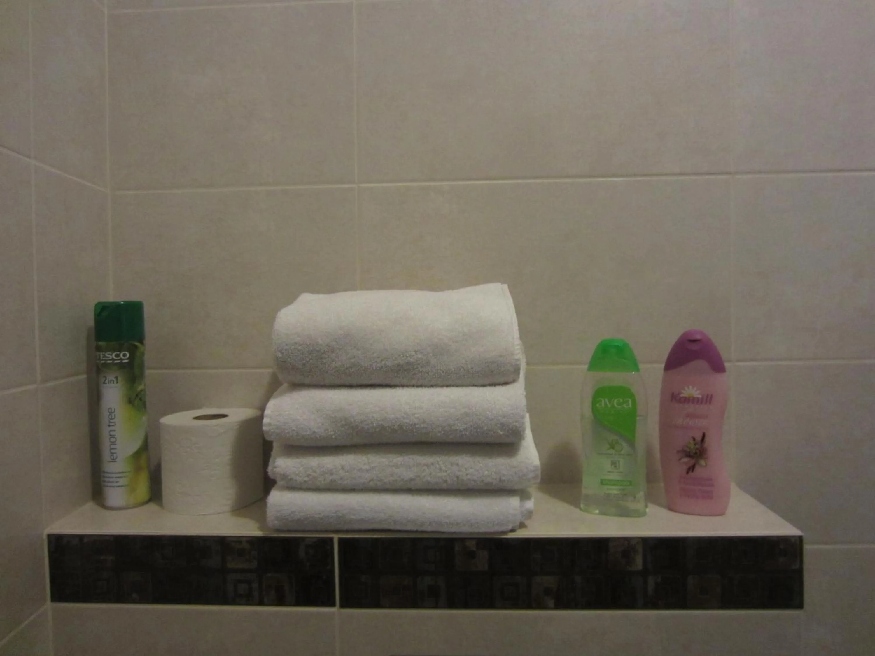 Willa M cisza w centrum miasta