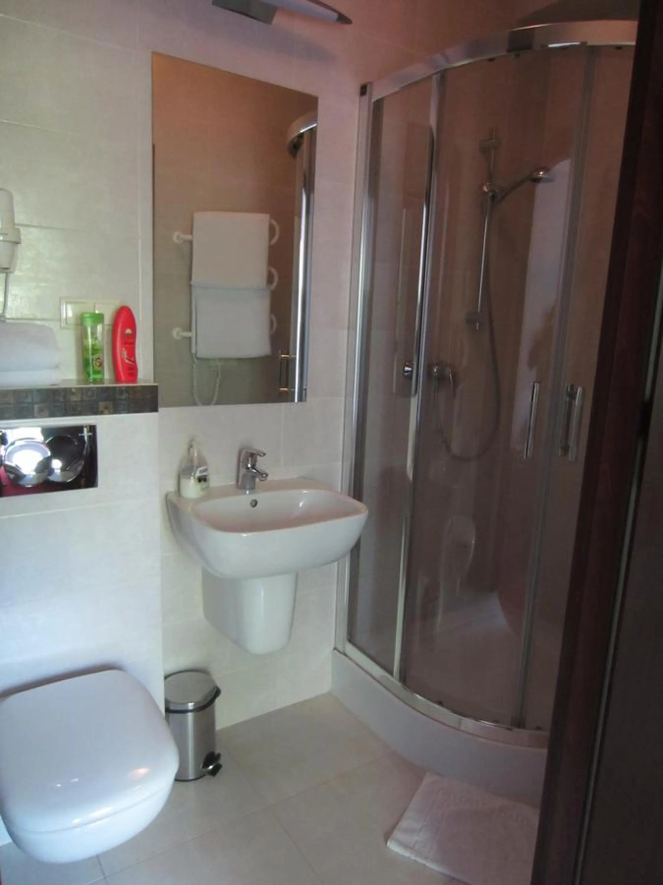 Willa M cisza w centrum miasta