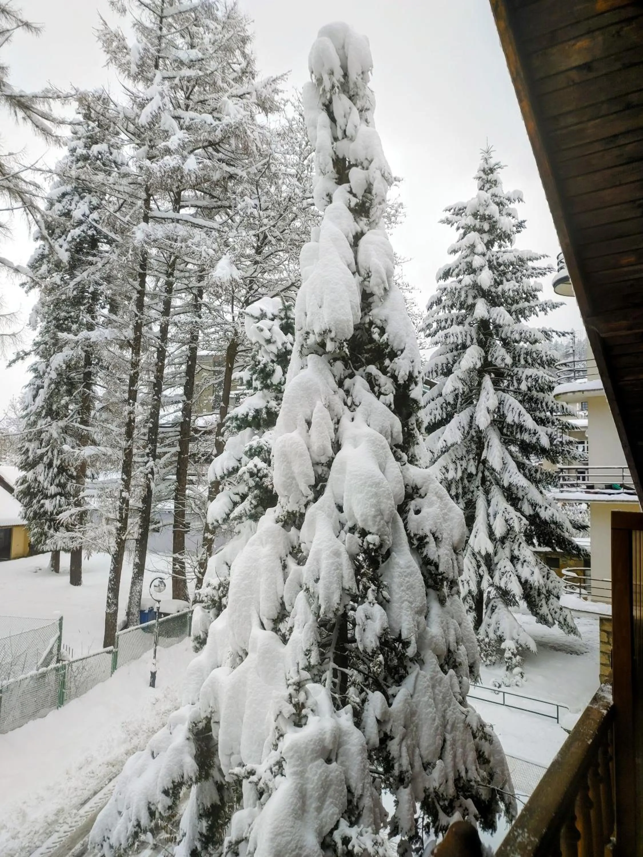 Willa M cisza w centrum miasta