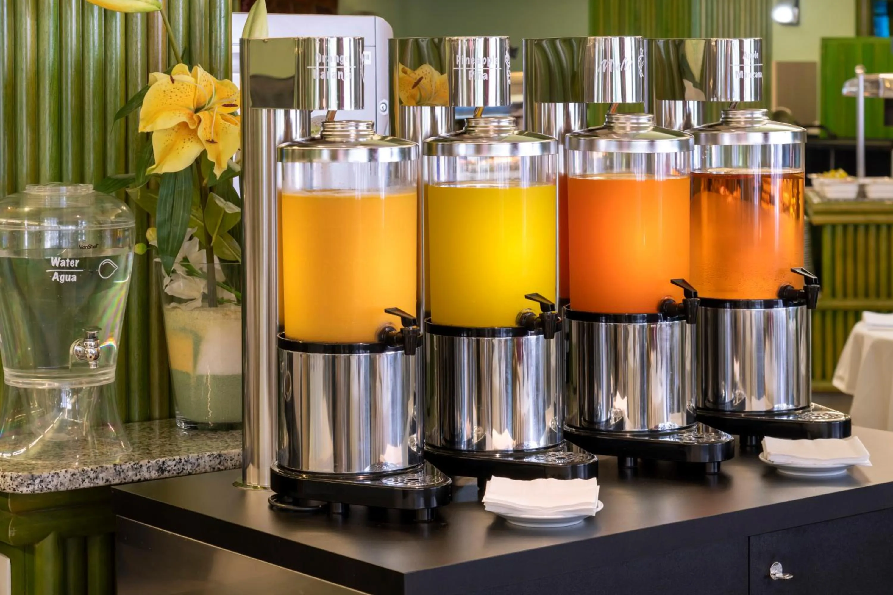 Breakfast in Tropic Park