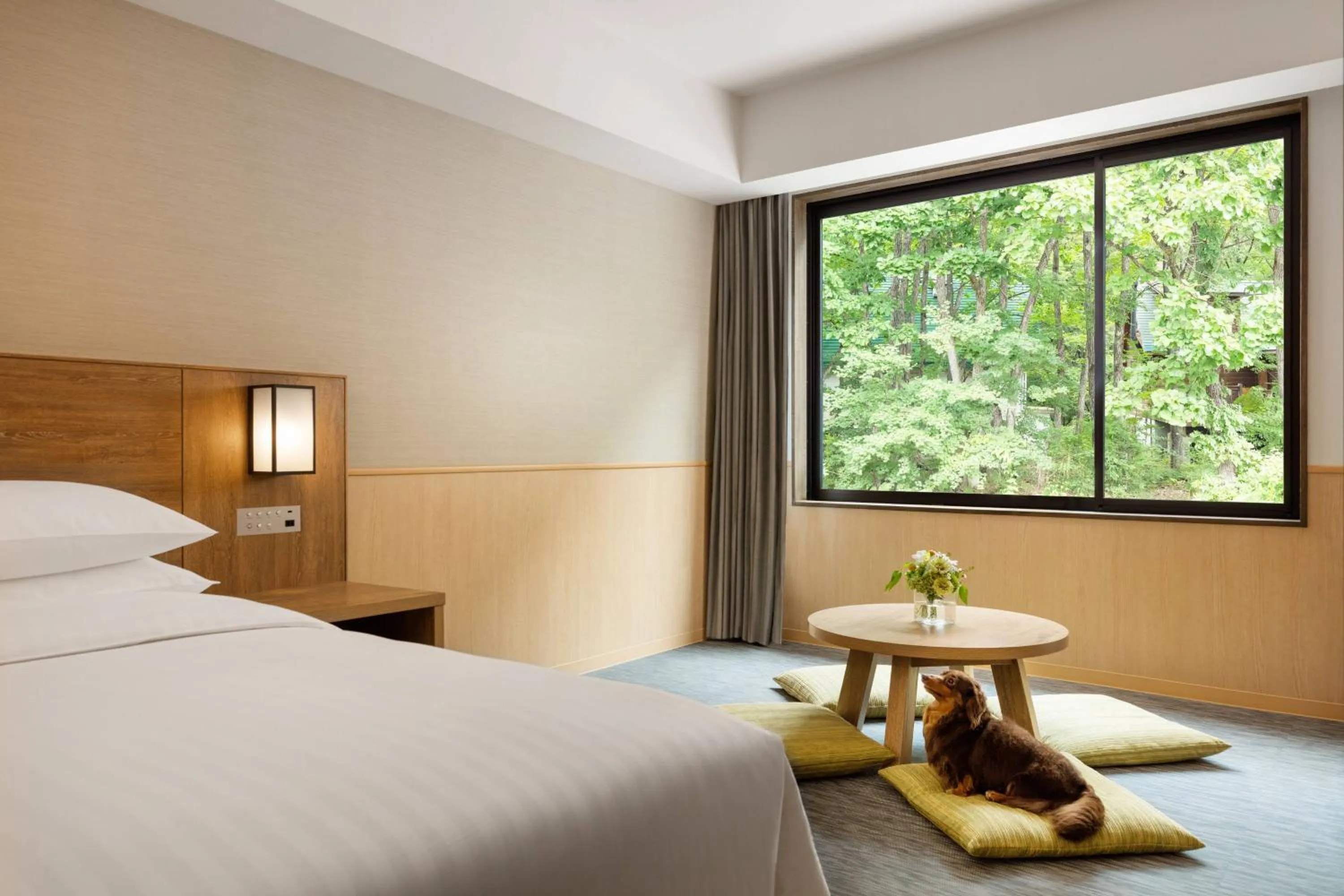 Photo of the whole room, Bed in Courtyard by Marriott Hakuba