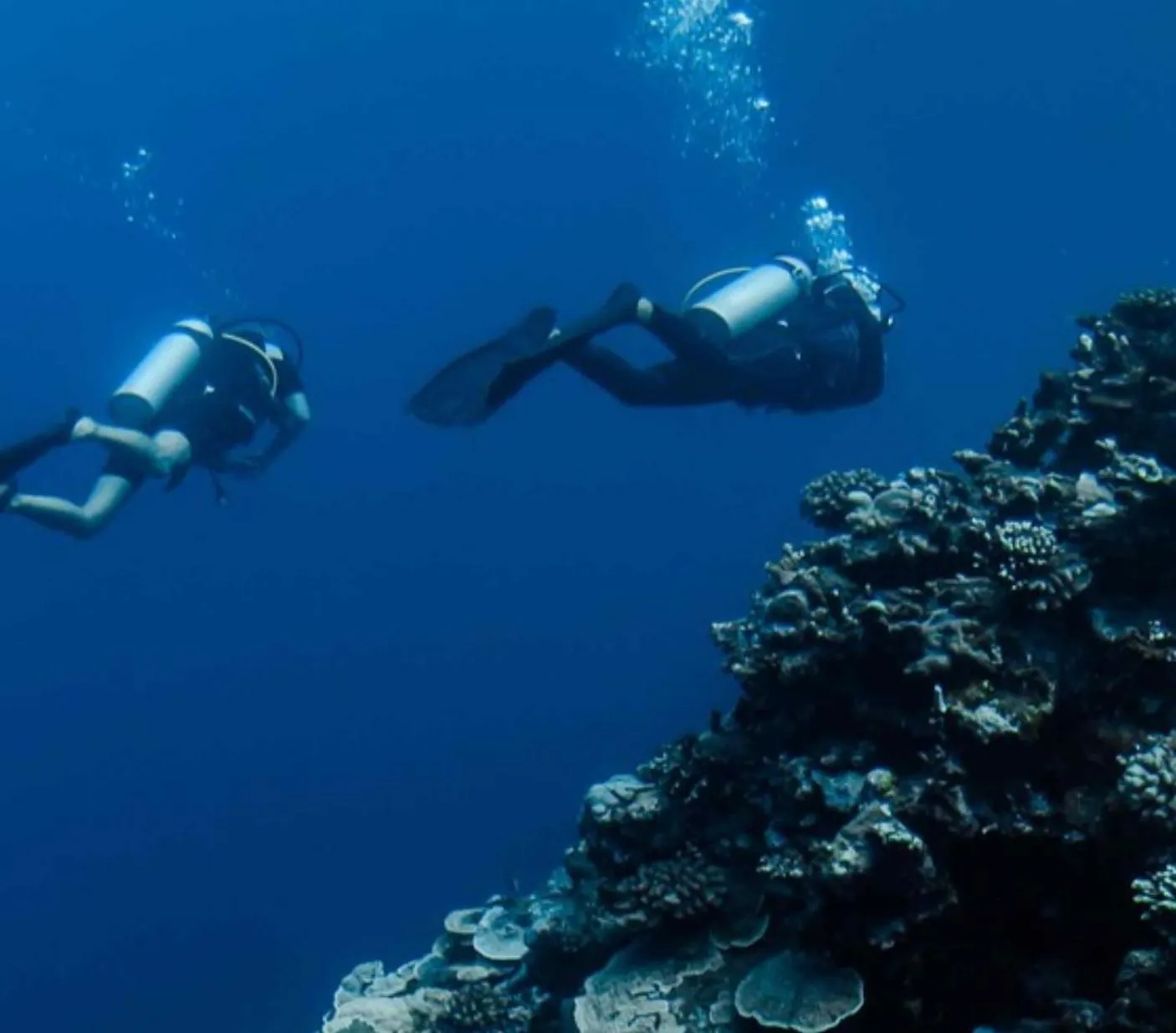 Natural landscape in Pension TE MITI - PLAGE-BEACH 200m - Mahana Parc & Vaiava Beach pk18 - B&B CHAMBRES ou DORTOIR