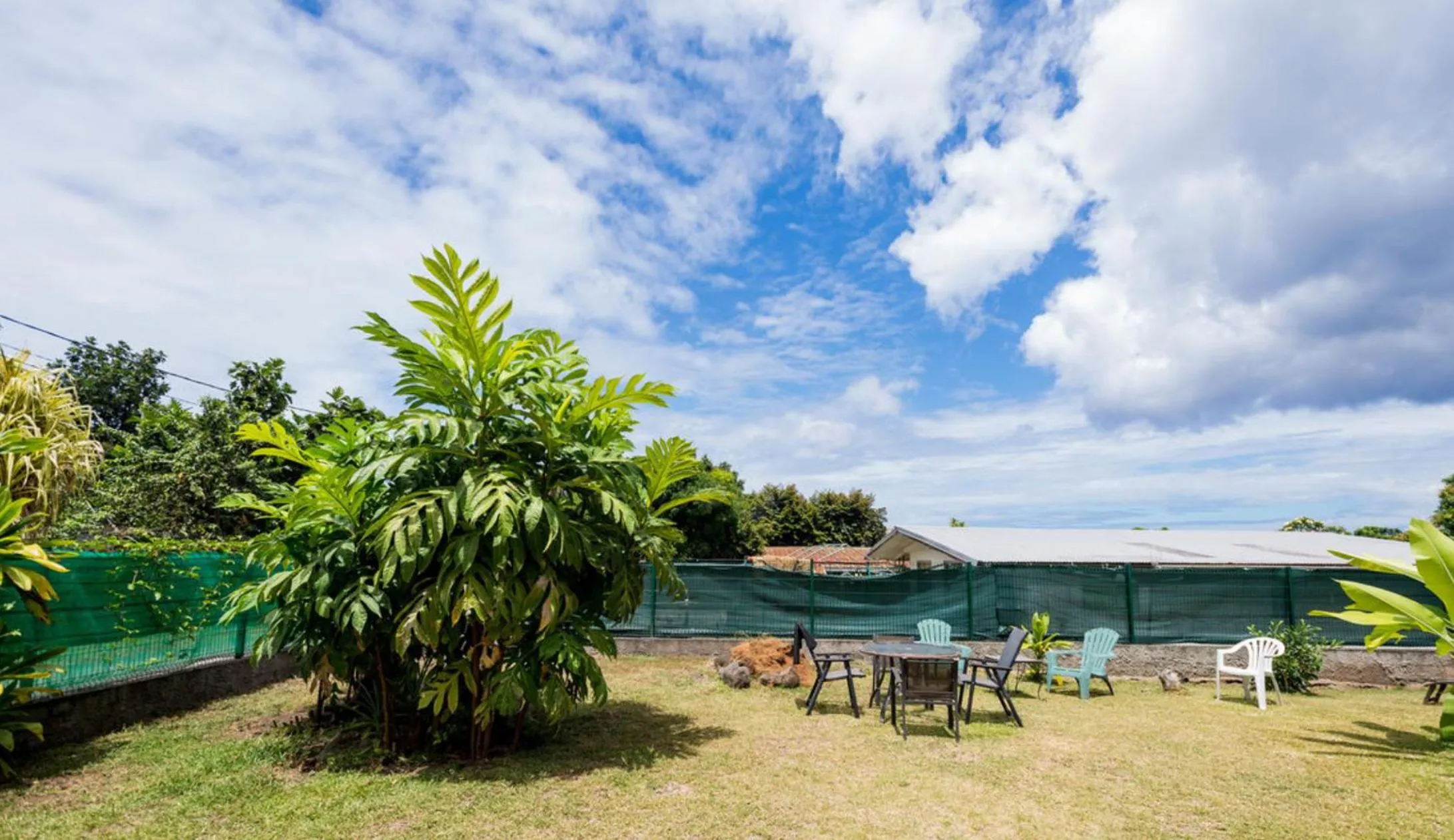 Garden in Pension TE MITI - PLAGE-BEACH 200m - Mahana Parc & Vaiava Beach pk18 - B&B CHAMBRES ou DORTOIR