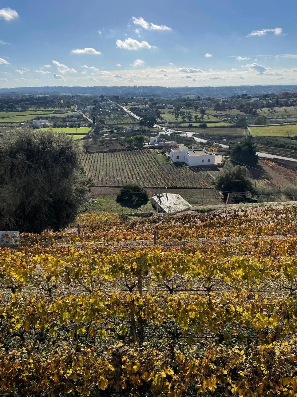 View (from property/room) in Casa Nardelli