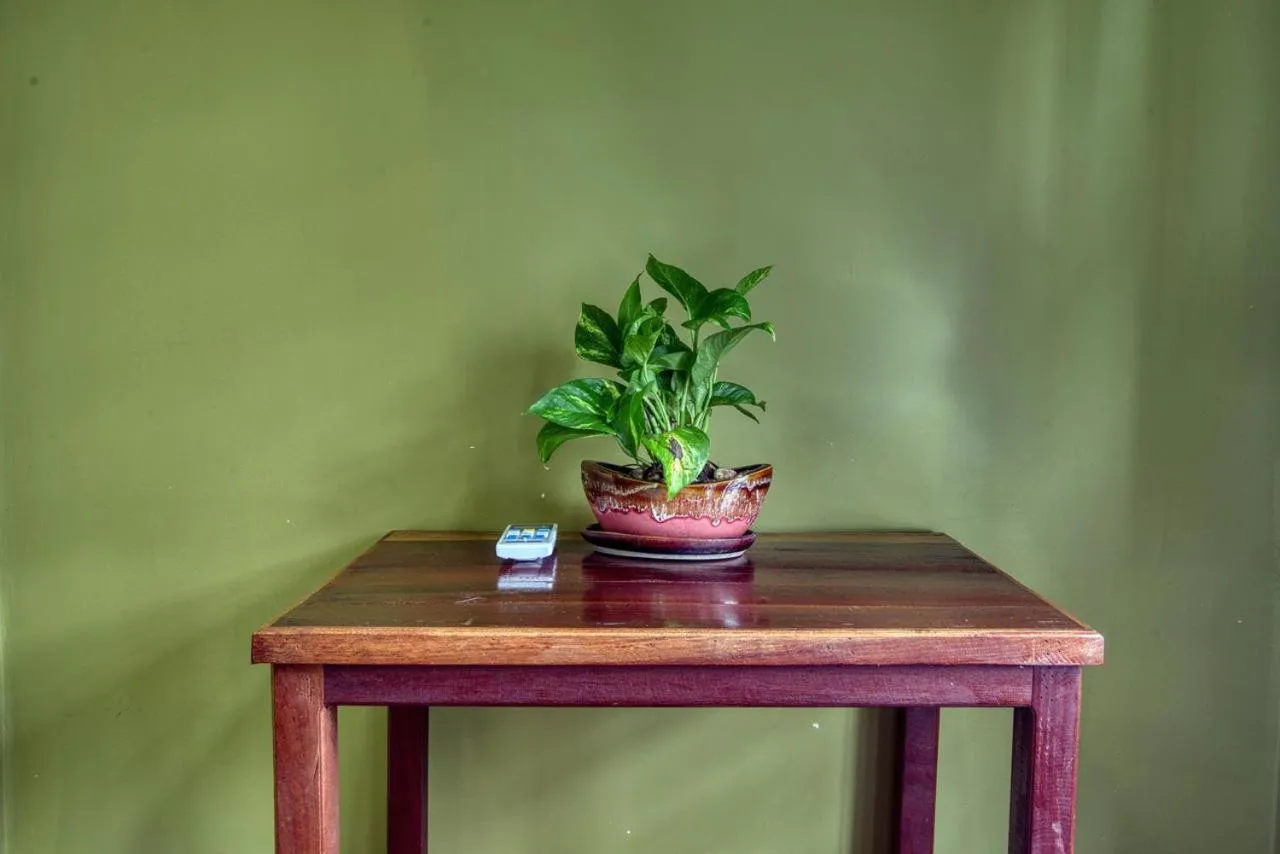 Decorative detail in Kalinga Art Home Guest House