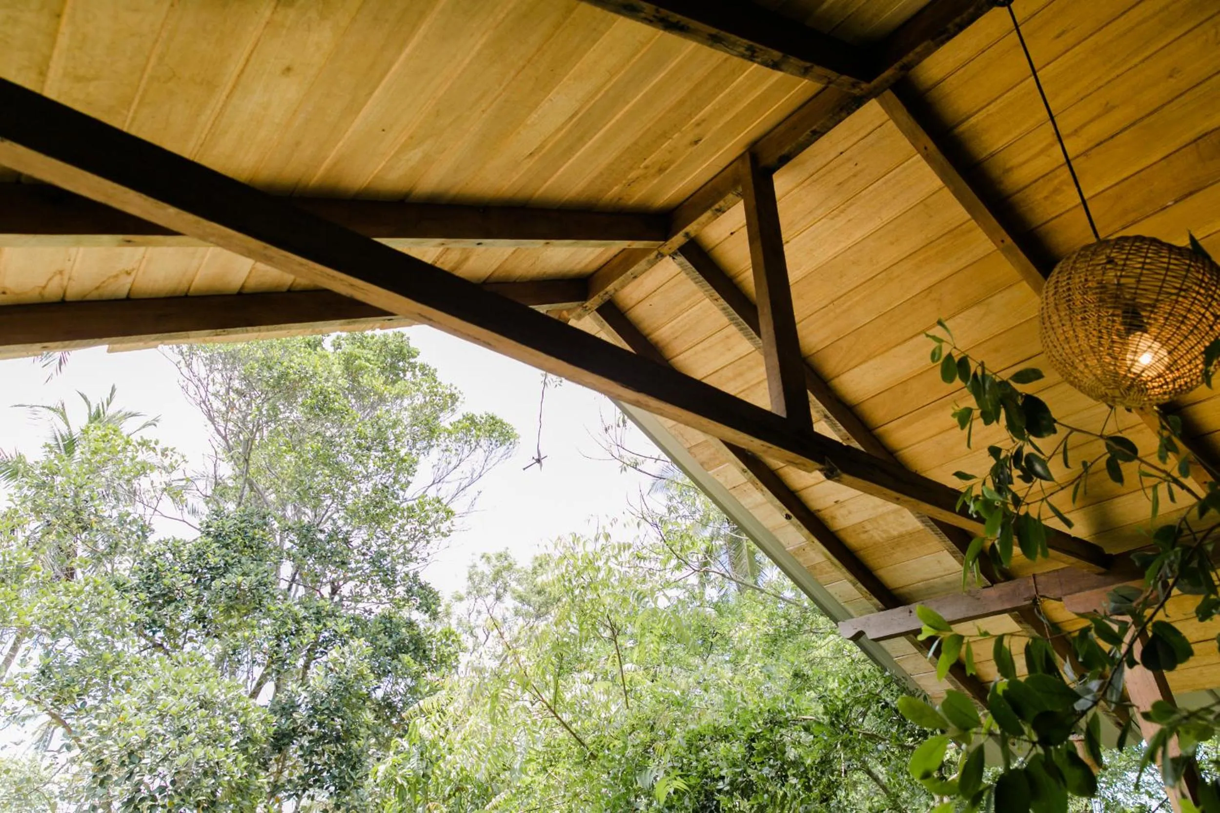 Garden view in Nuga Eden Tangalle