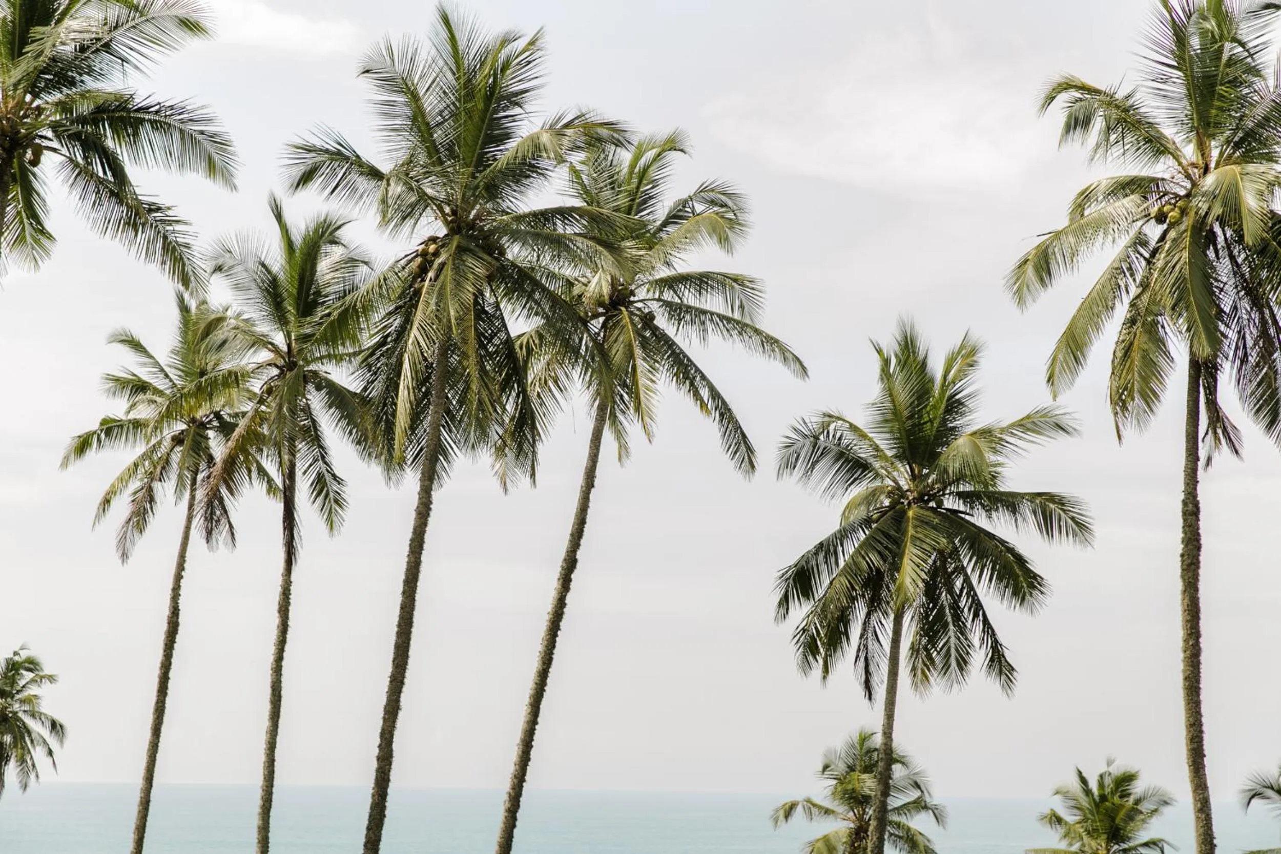 Beach in Nuga Eden Tangalle