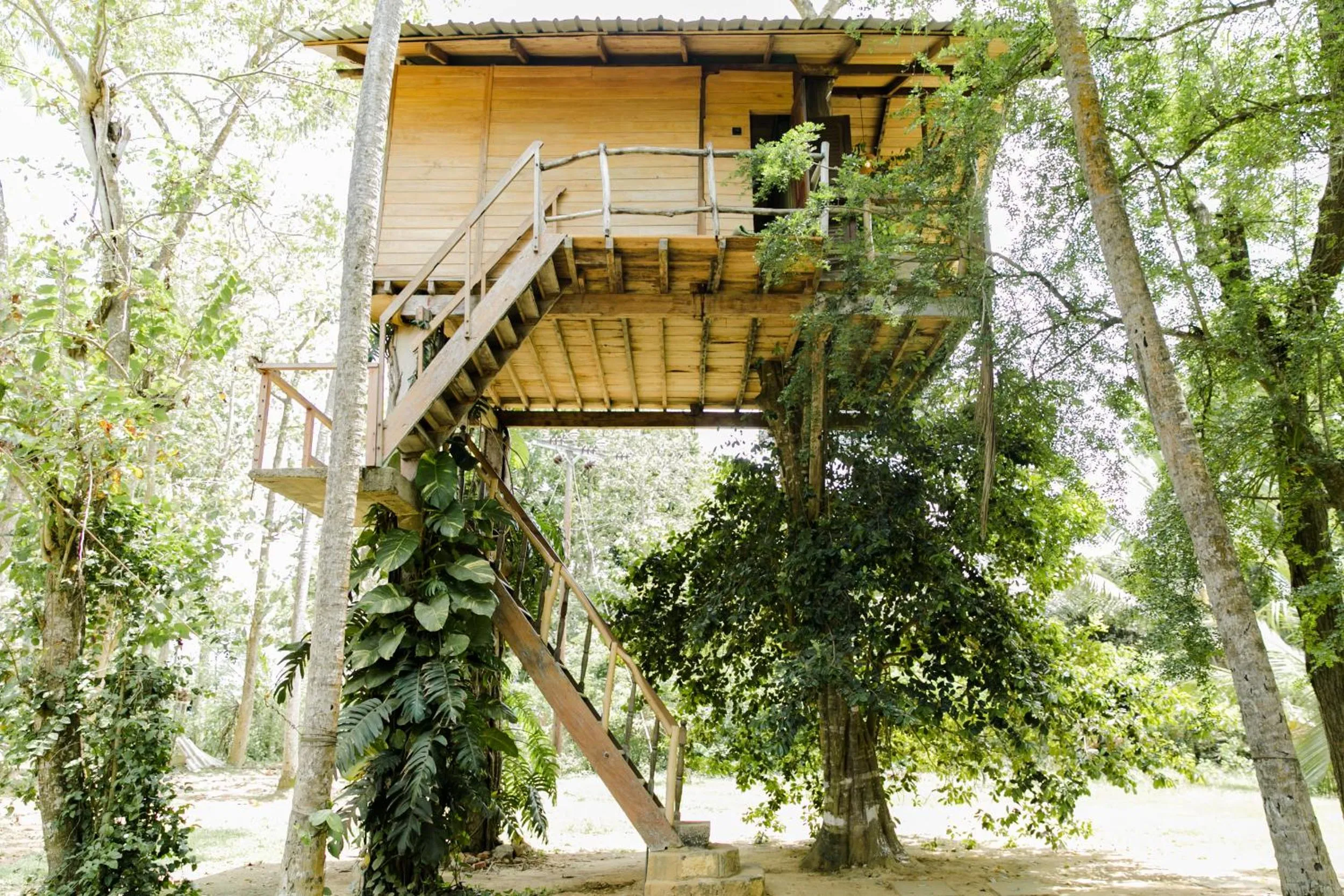 View (from property/room) in Nuga Eden Tangalle