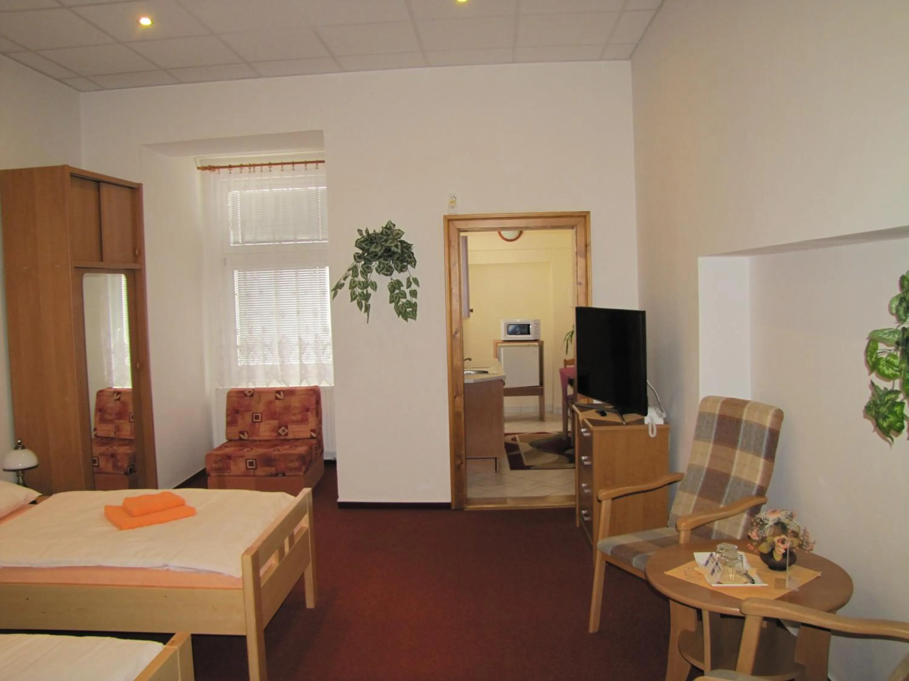 Kitchen or kitchenette in Penzion Aldo