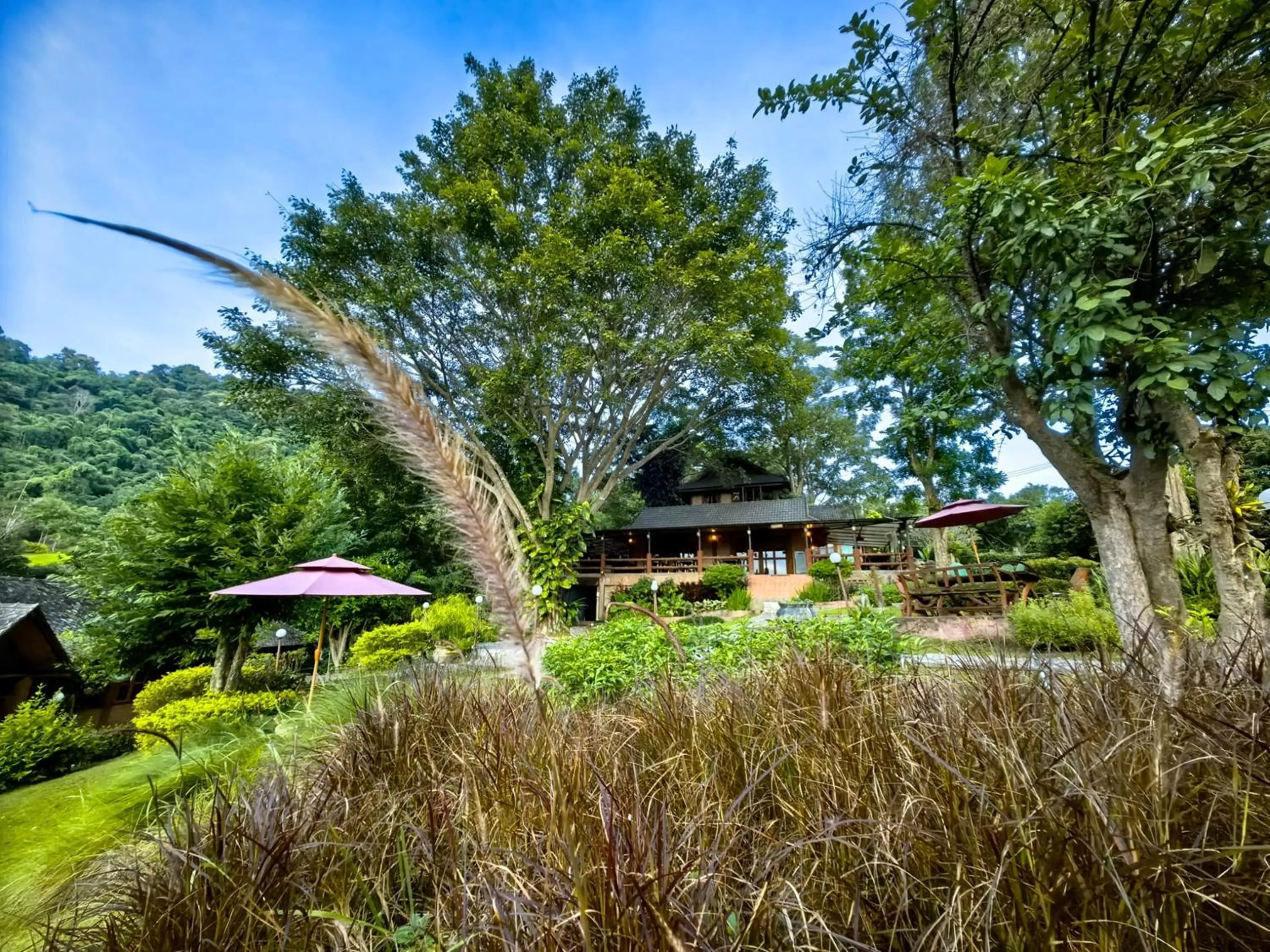 Property building in Insda Wellness Resort