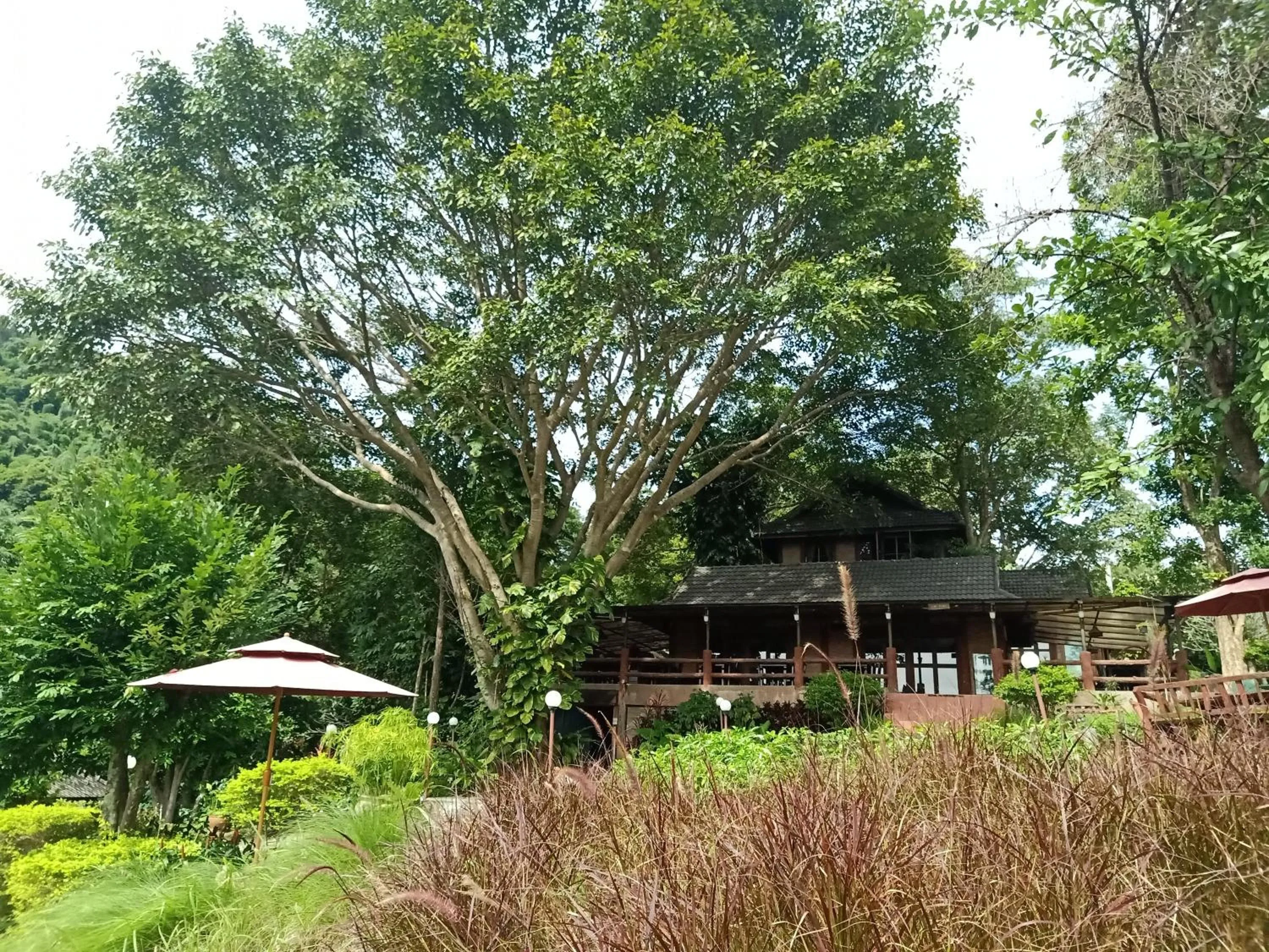 Property building in Insda Wellness Resort