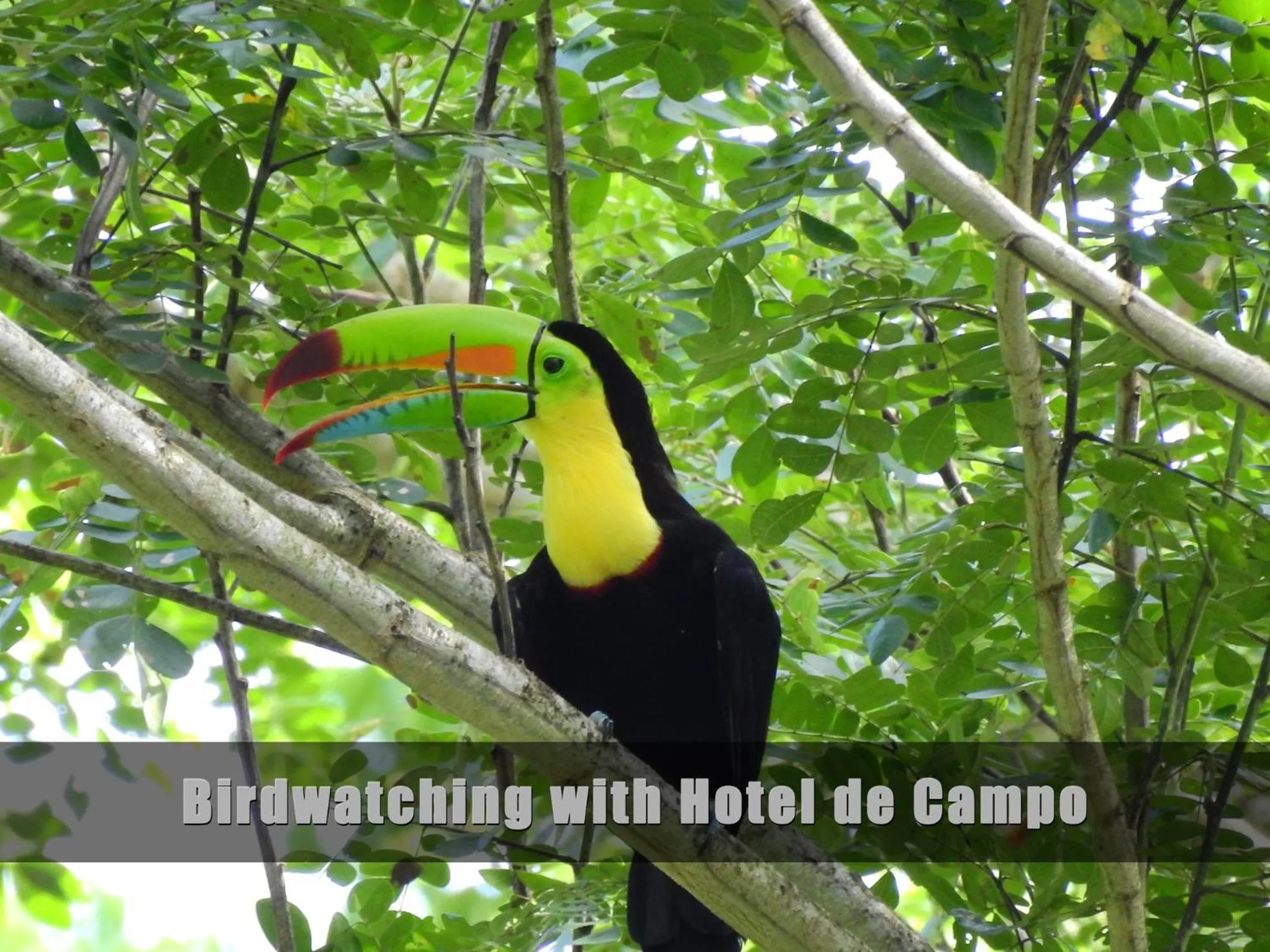 Activities in Hotel de Campo Caño Negro