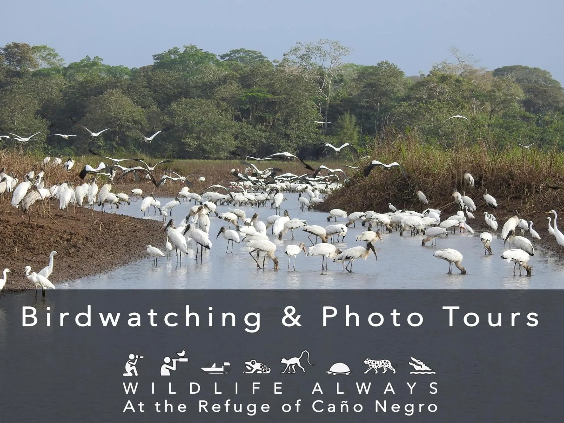 Hotel de Campo Caño Negro
