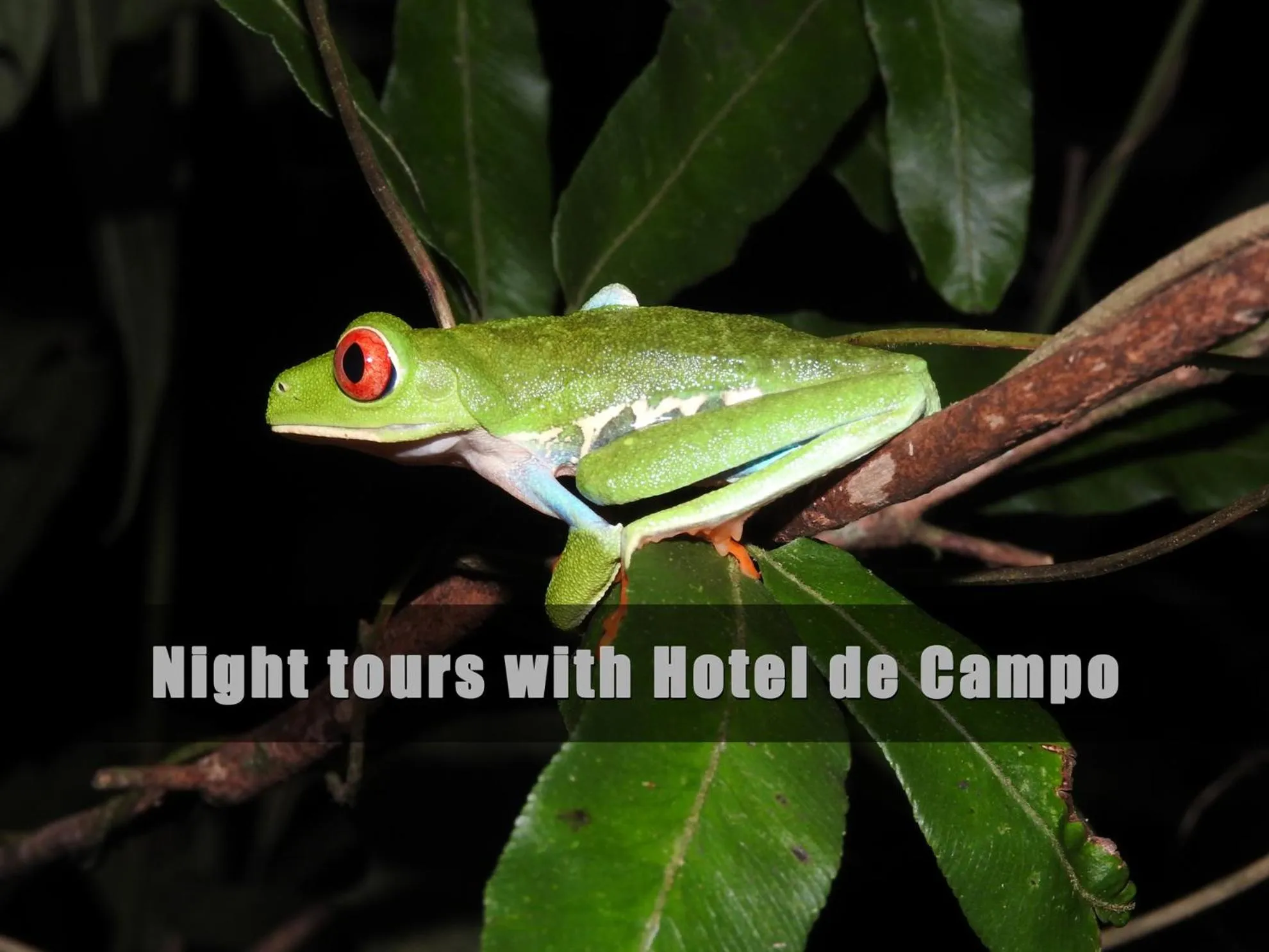 Activities in Hotel de Campo Caño Negro