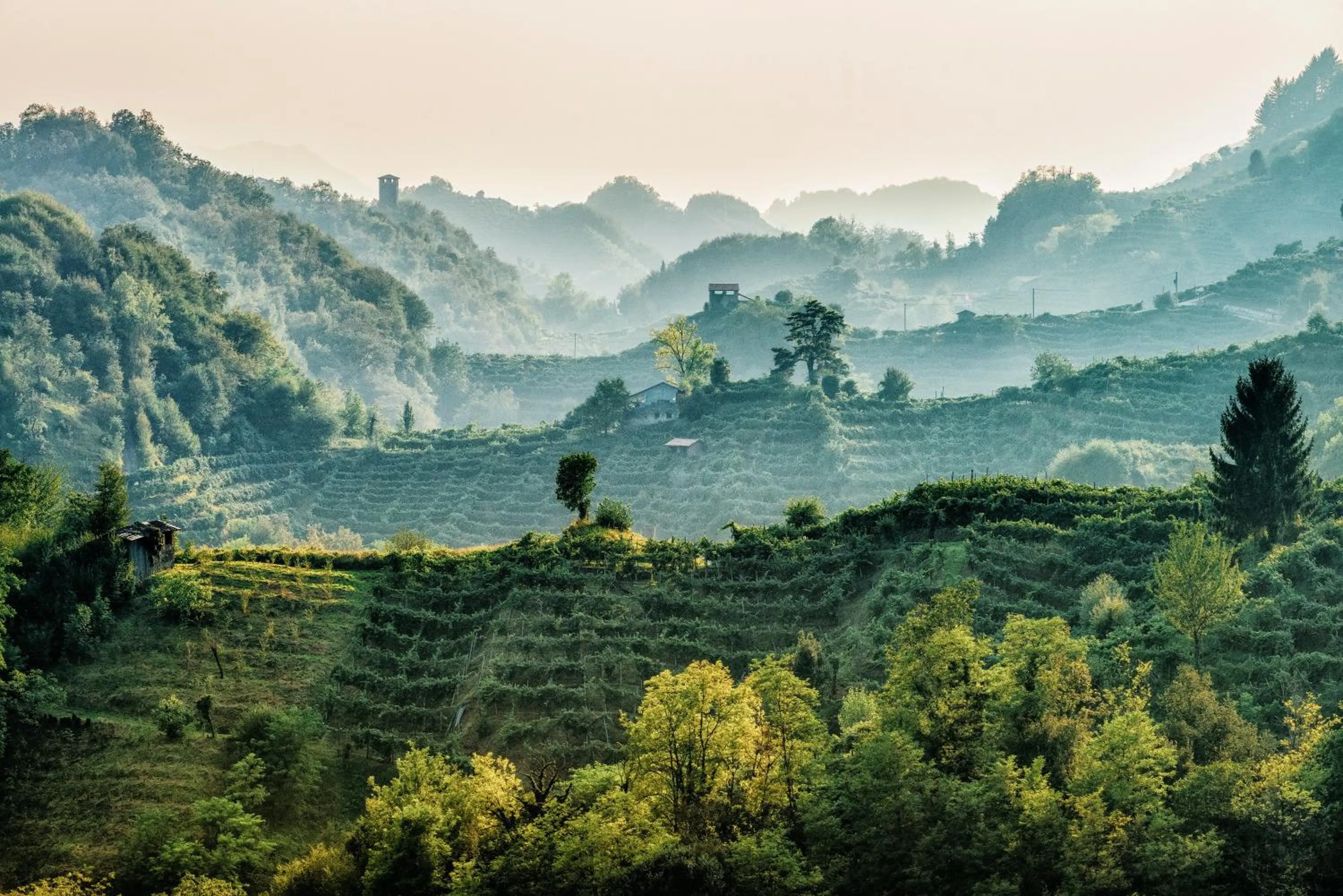 Natural landscape in Villa Abbazia Relais & Chateaux