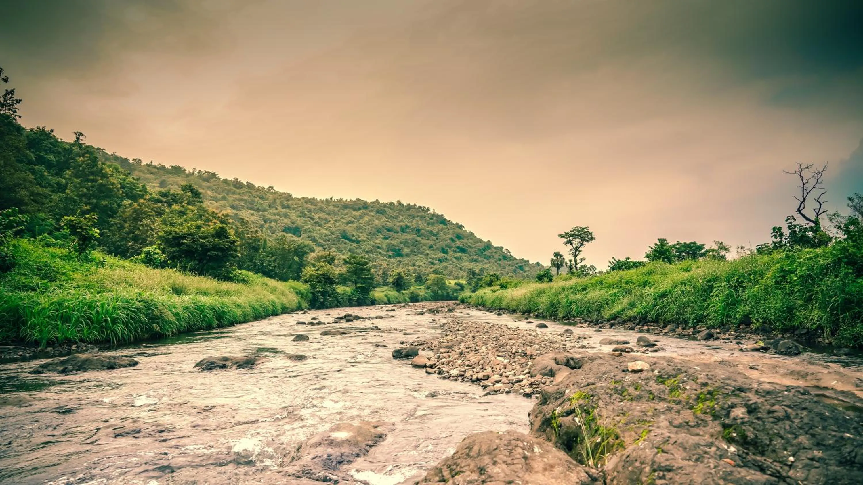 Day in Whispering Peepul Resort