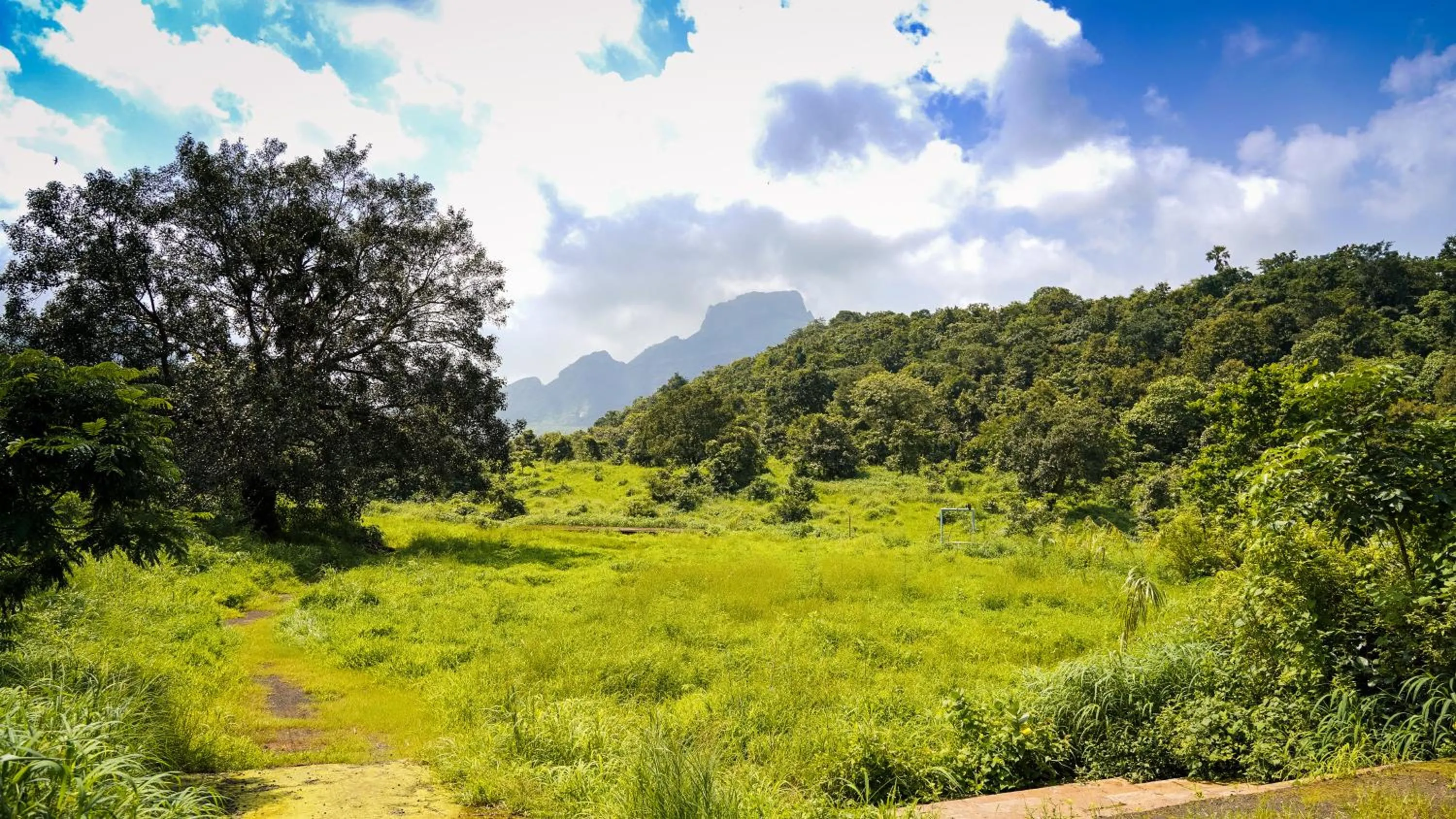 Nearby landmark in Whispering Peepul Resort