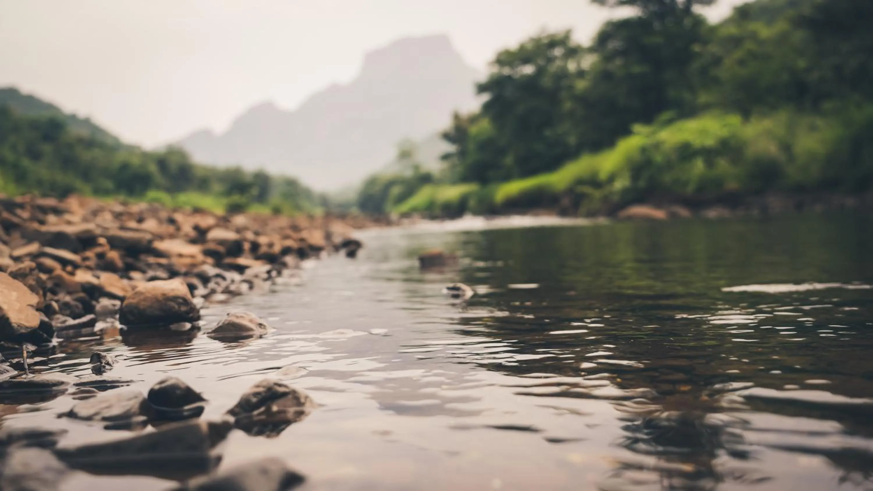 Nearby landmark in Whispering Peepul Resort