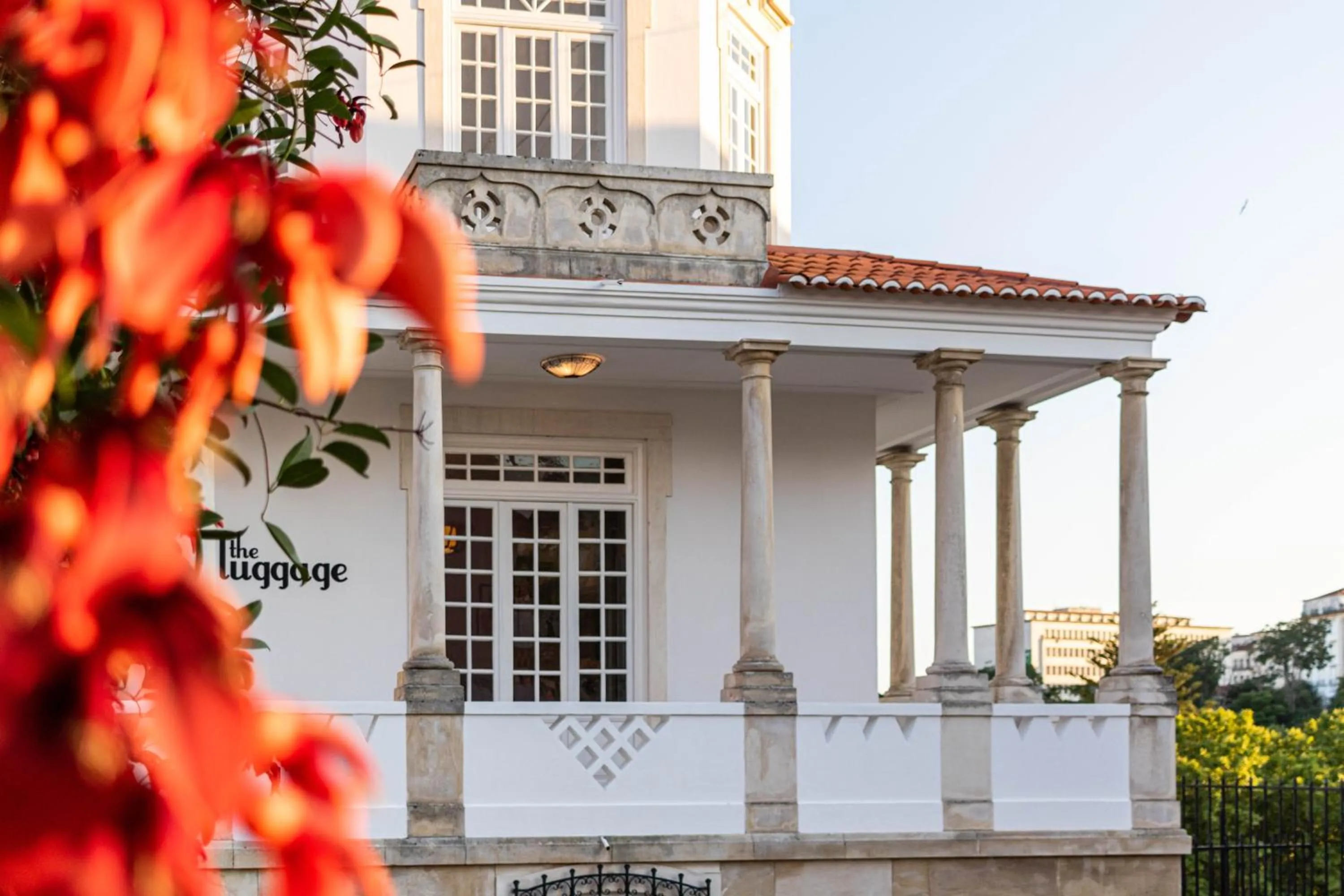 Property building in The Luggage