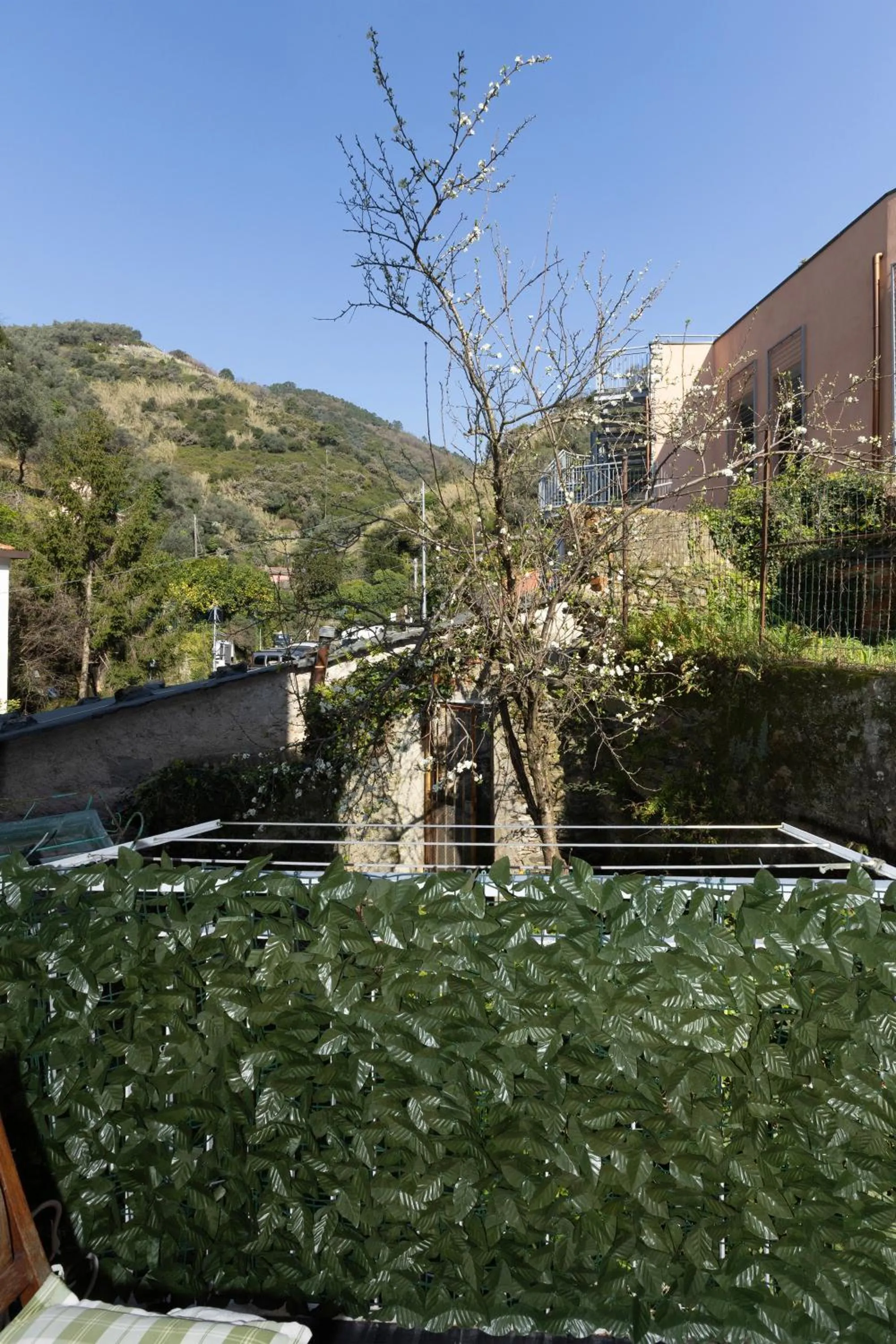 Mountain view in Apartment Vincenzina