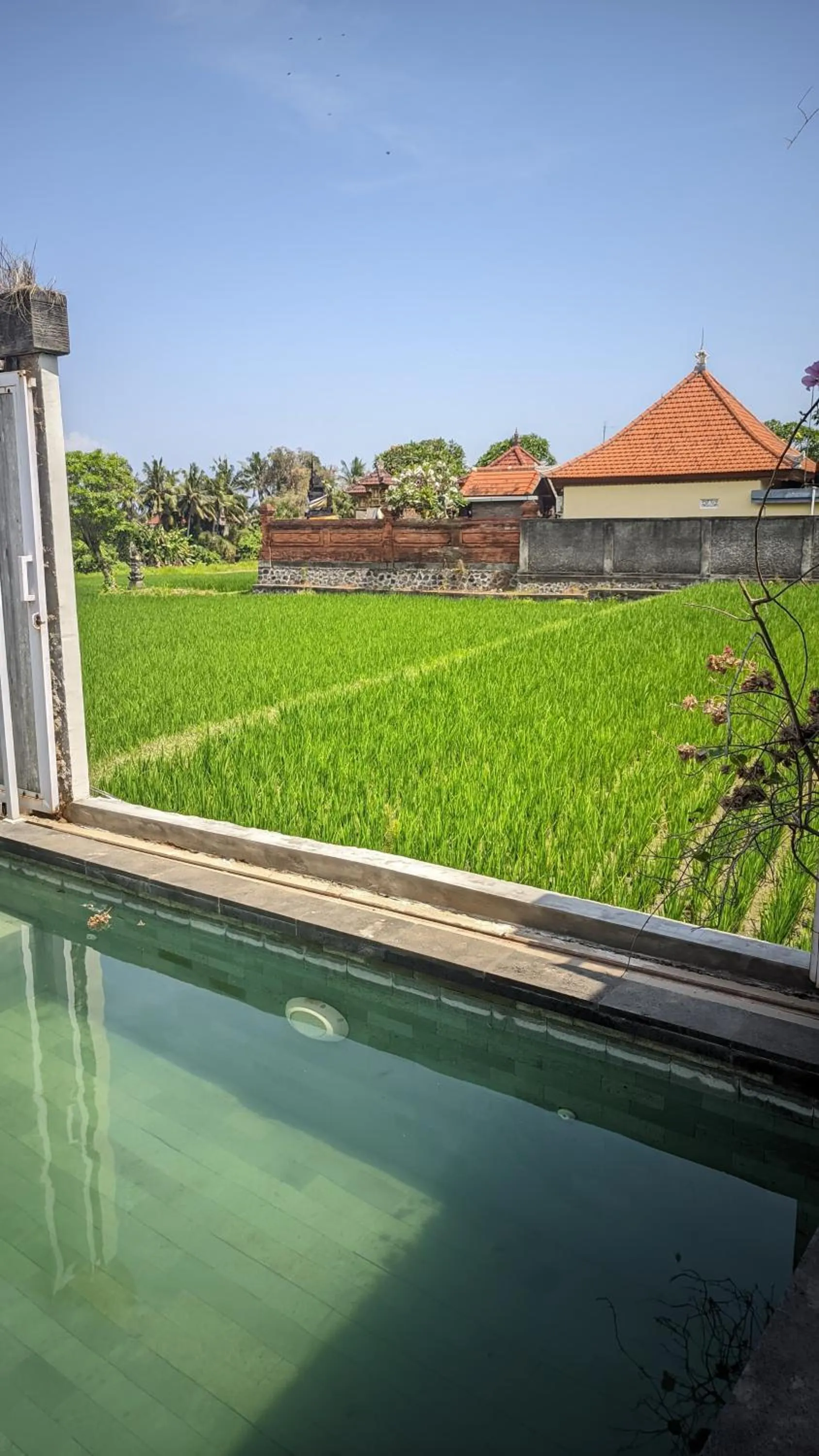 Natural landscape in Sujiwa Ubud Hotel & Villa