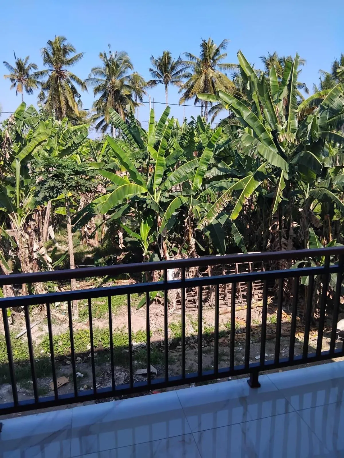 Natural landscape in Sujiwa Ubud Hotel & Villa