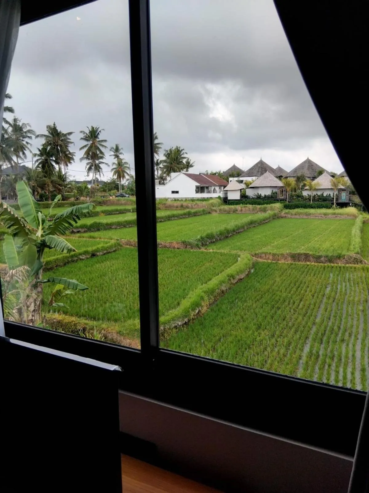View (from property/room) in Sujiwa Ubud Hotel & Villa