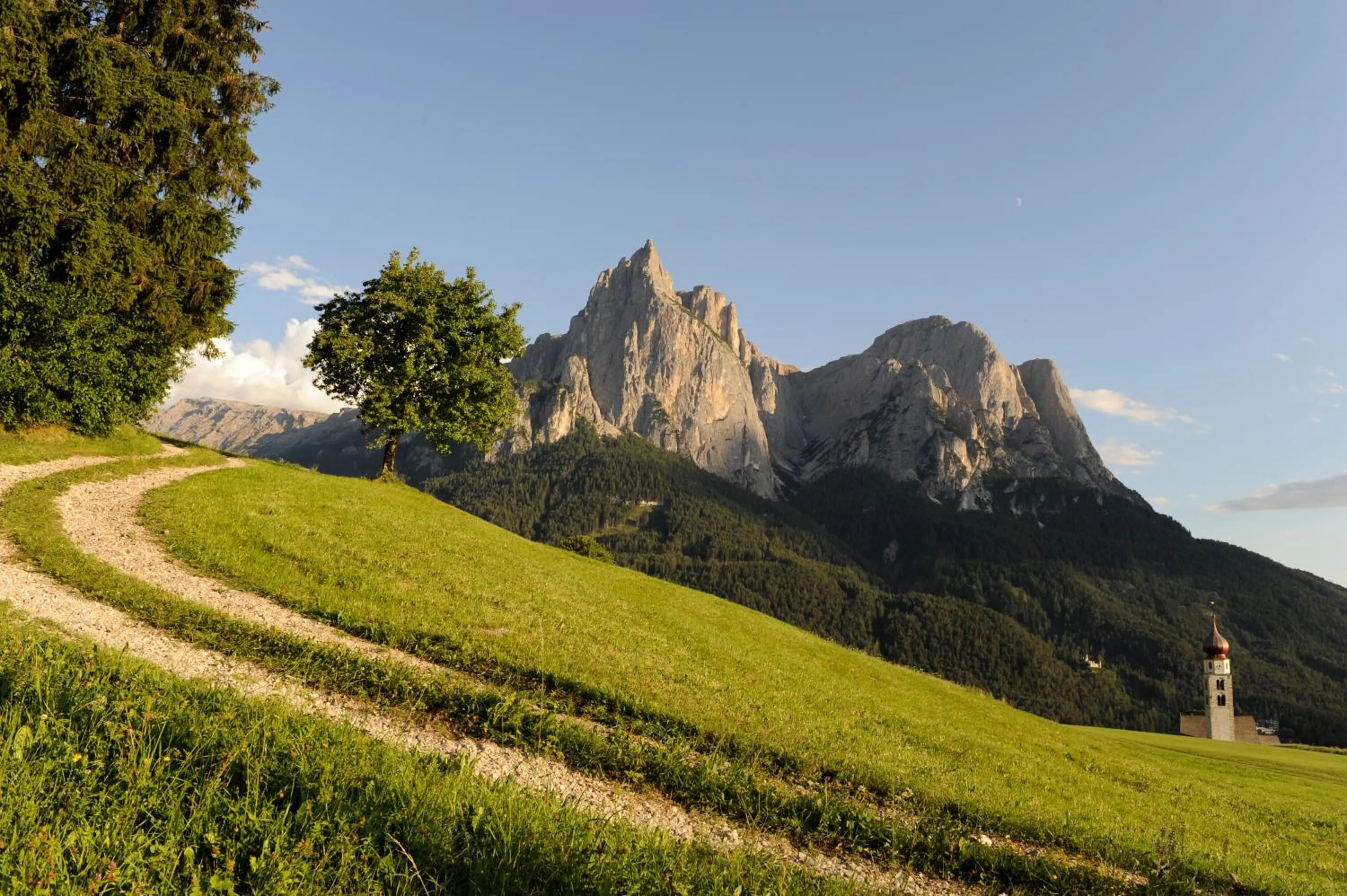 Hiking in Ferienwohnungen Koflerhof