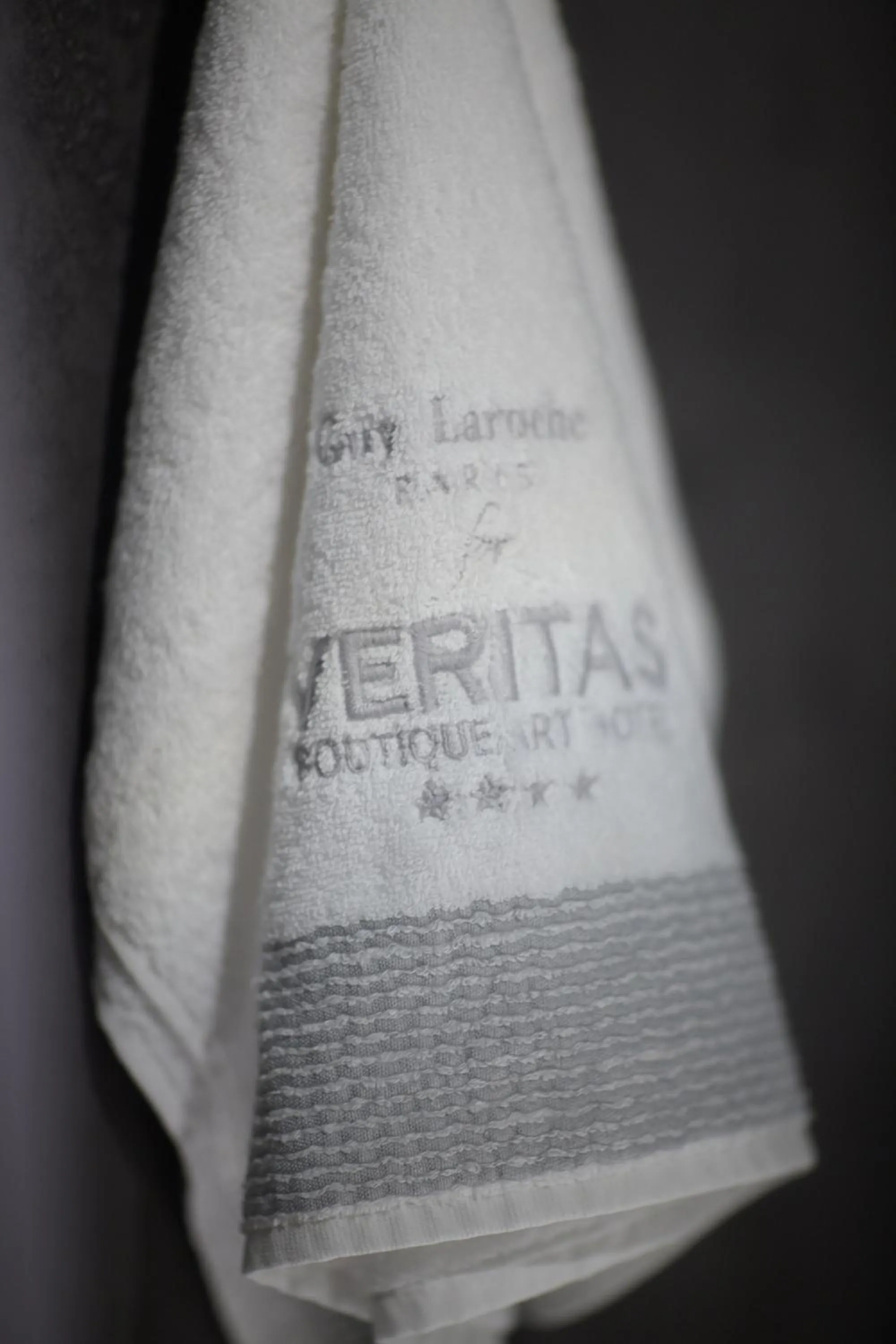 Toilet in Veritas Boutique Art Hotel