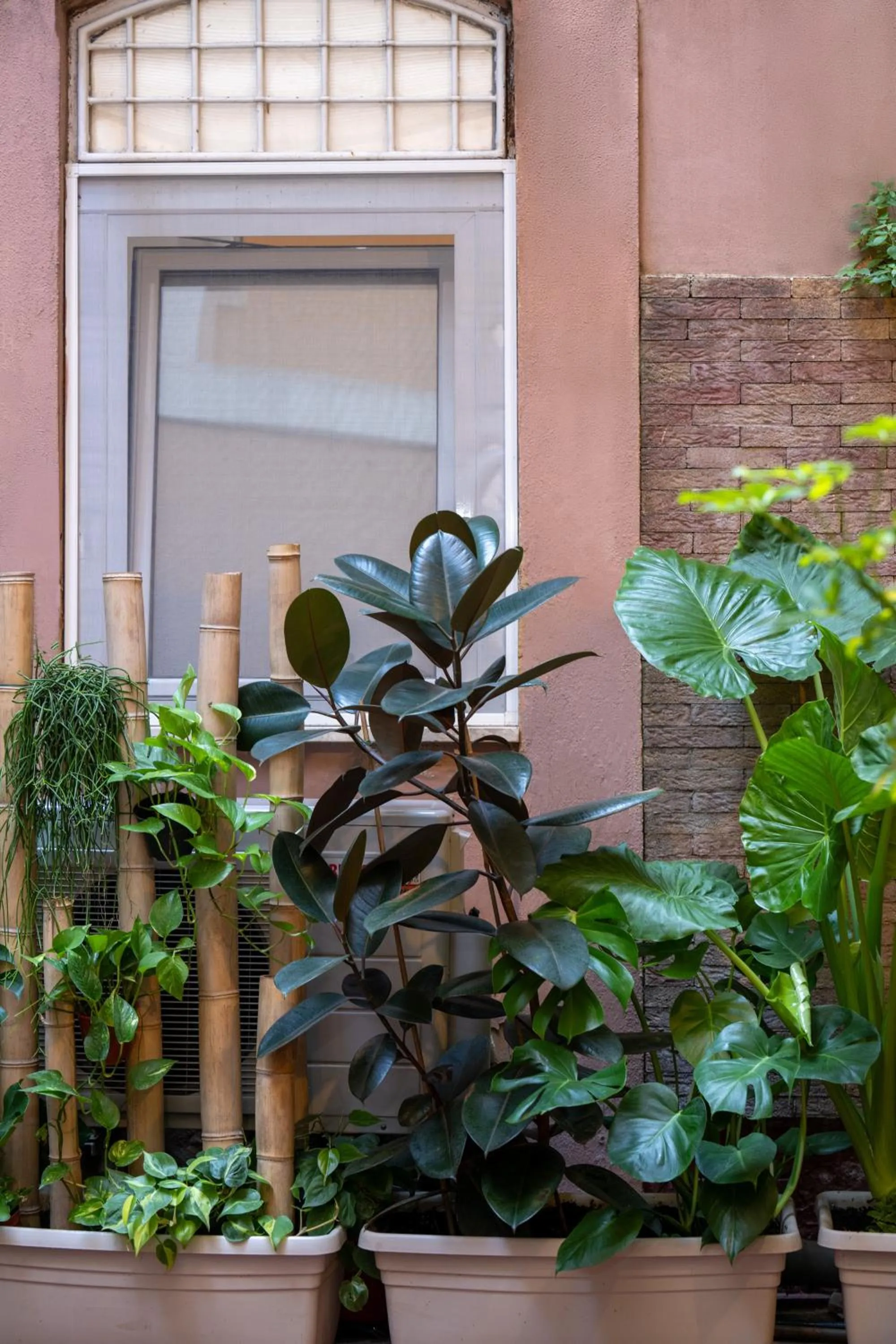 La Chiostrina al Vaticano