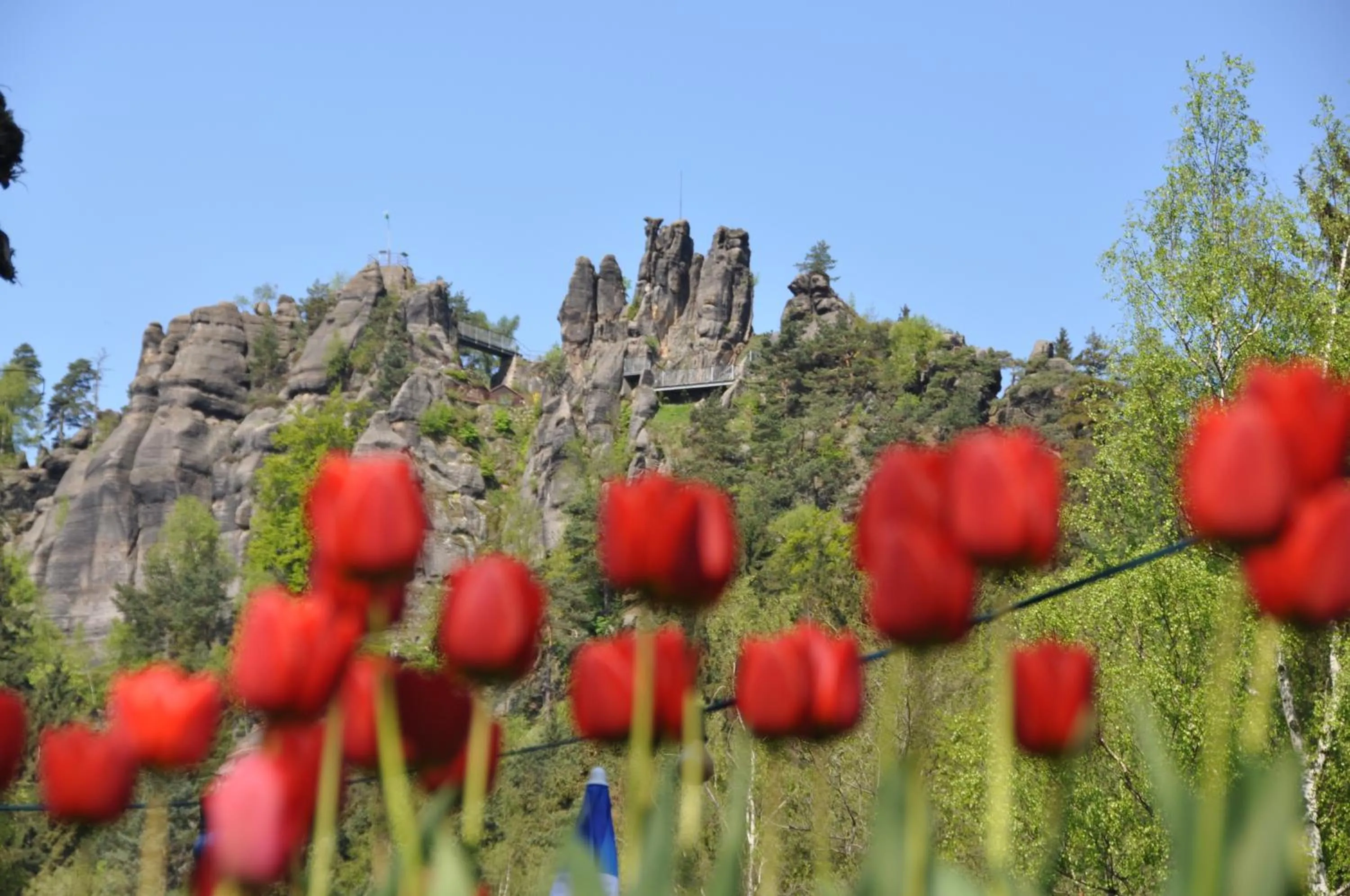 View (from property/room) in Hotel Gondelfahrt