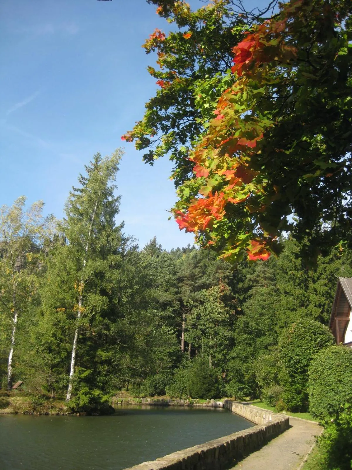 View (from property/room) in Hotel Gondelfahrt