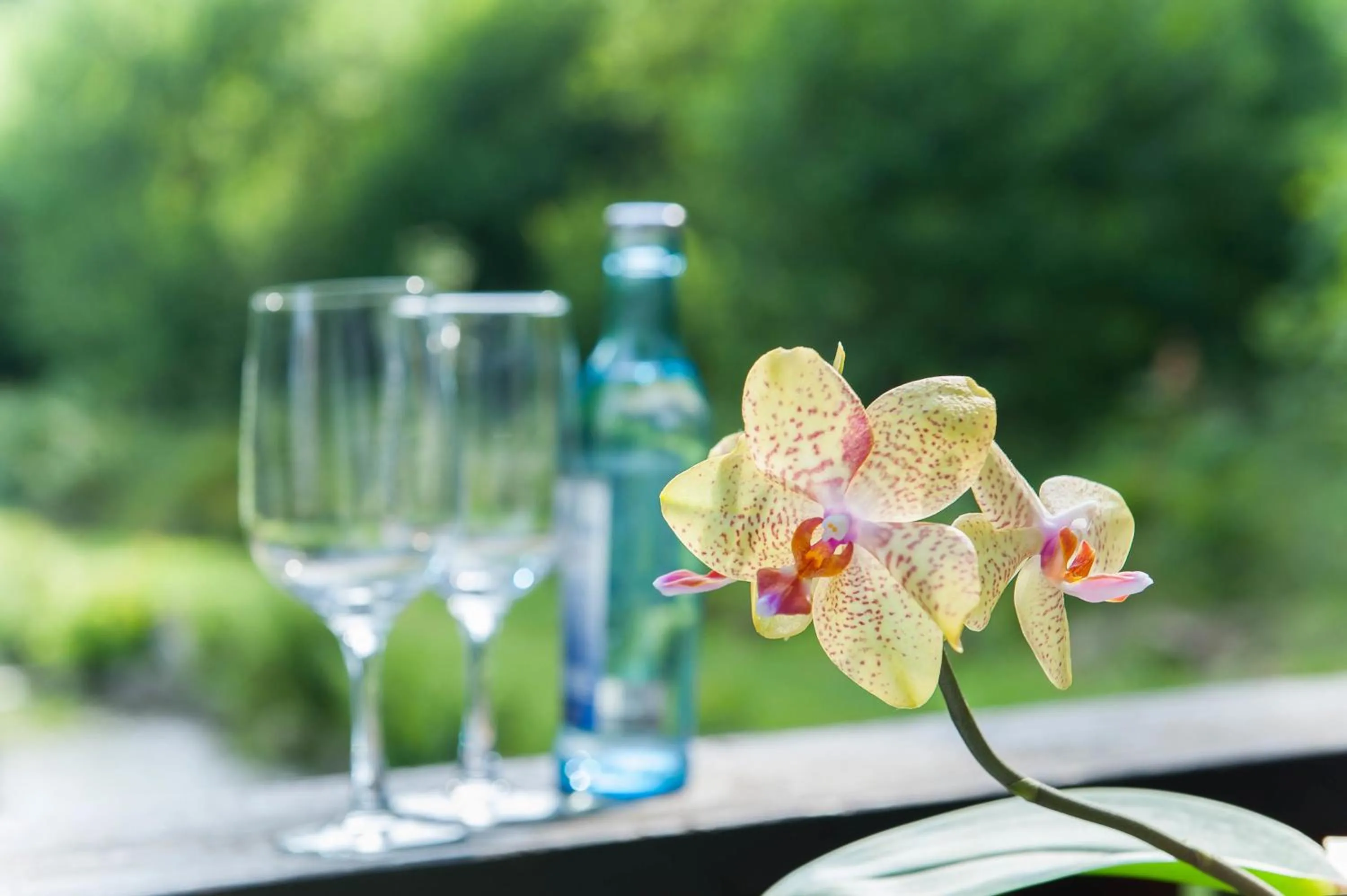 Other in Hotel Gondelfahrt