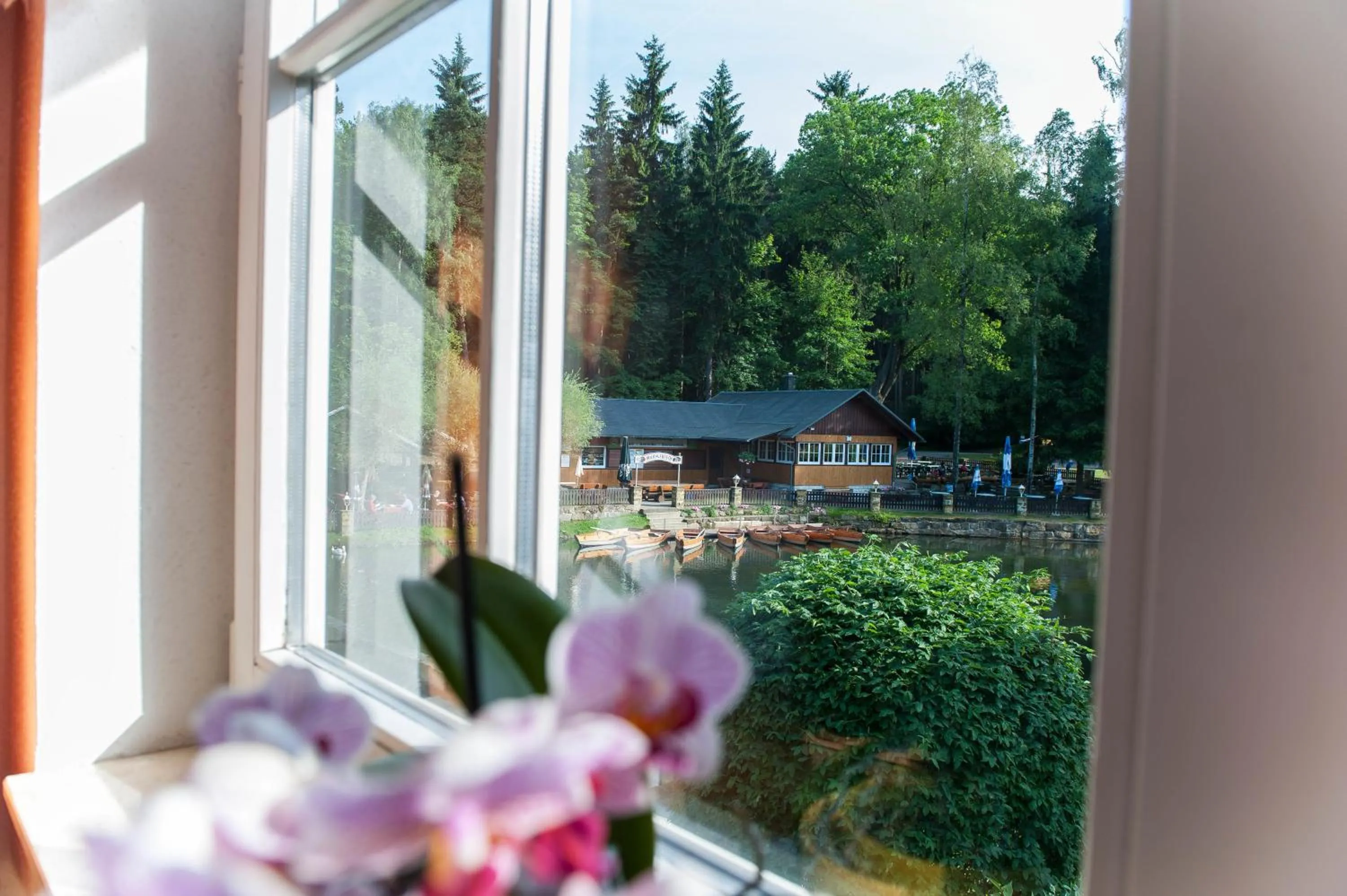 View (from property/room) in Hotel Gondelfahrt