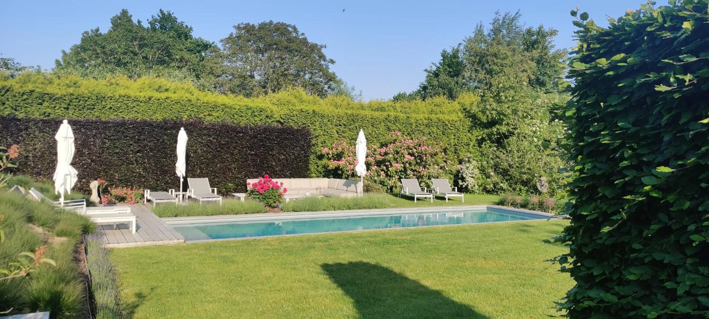 Swimming pool in B&B 7T