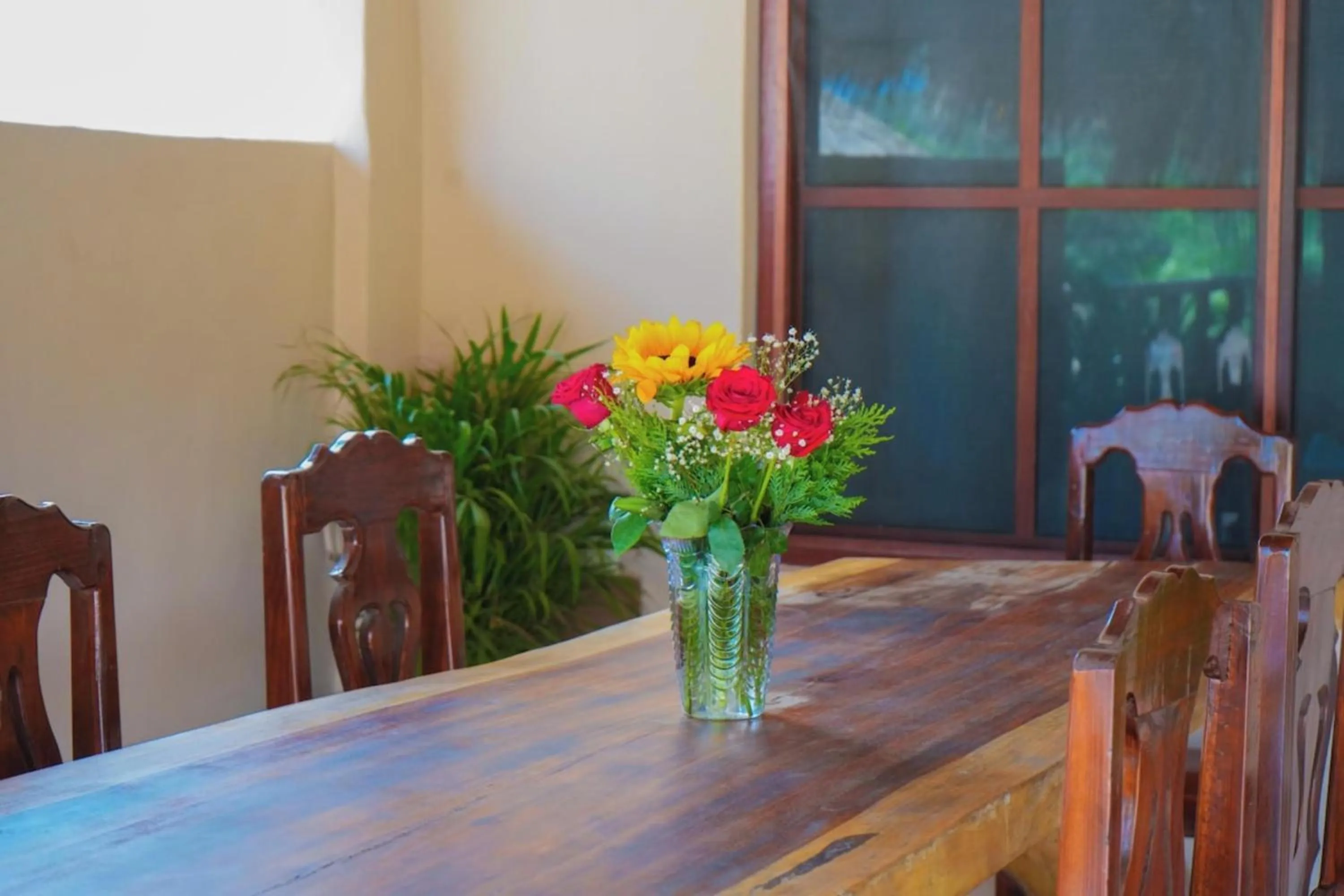 Area and facilities in OYO Posada Magico