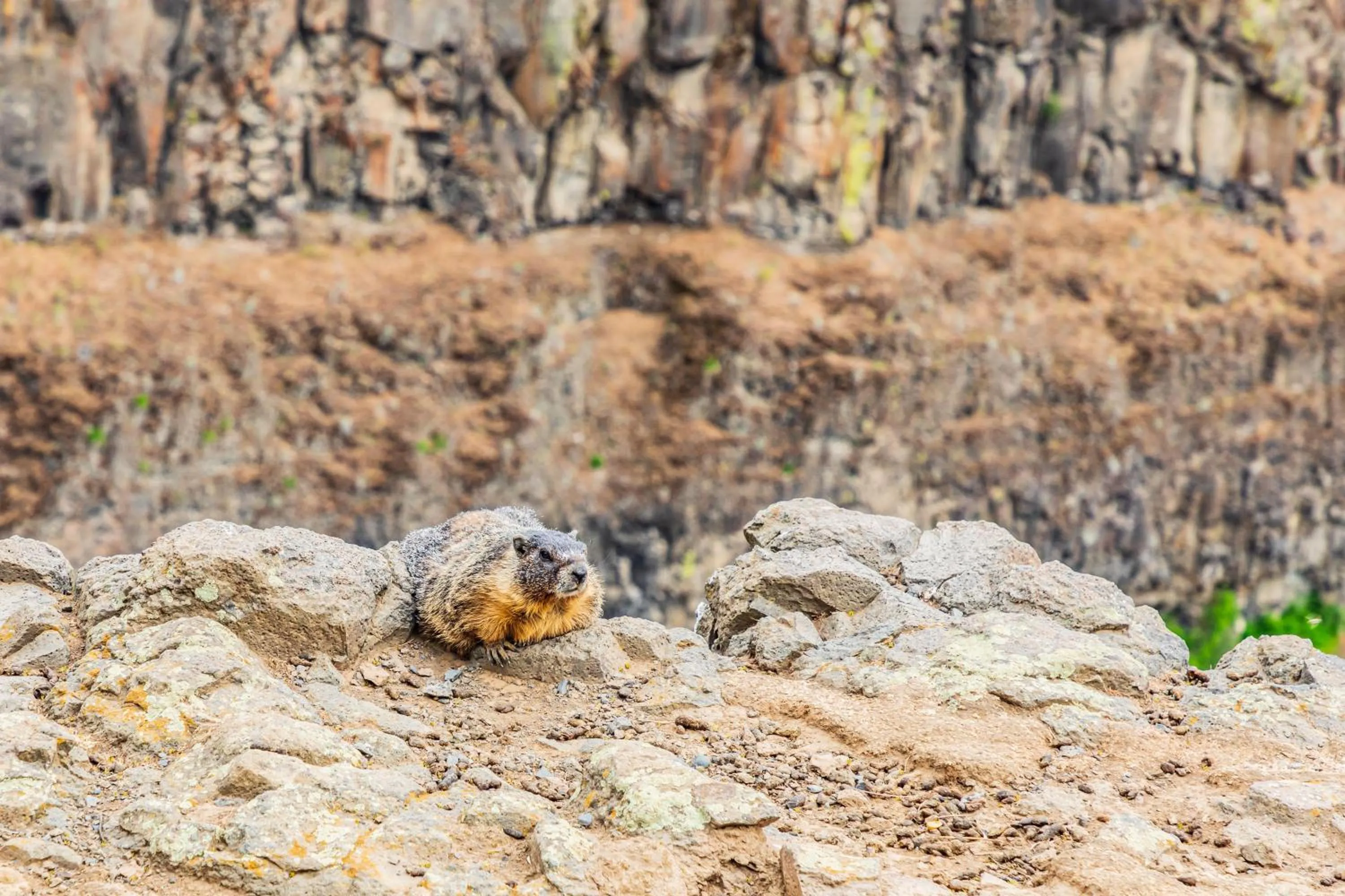 Natural landscape in Hotel Hardware