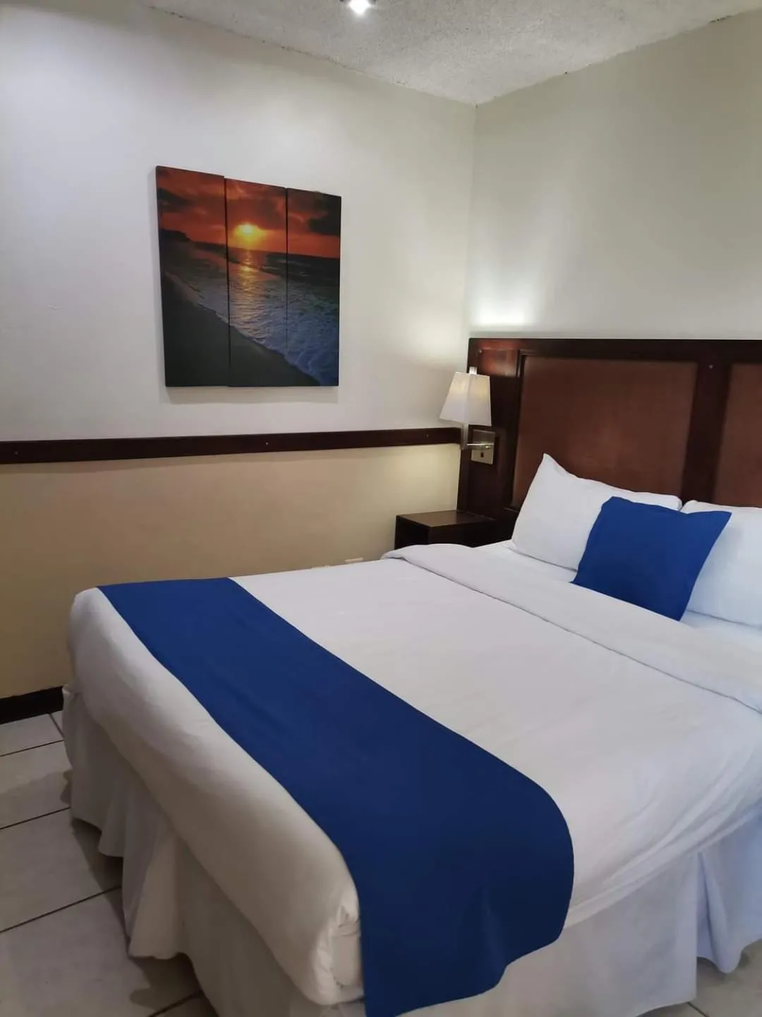 Bed in Hotel Alicante San Salvador