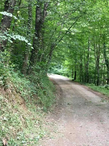 Chambres d'hôtes Mas La Tardosse