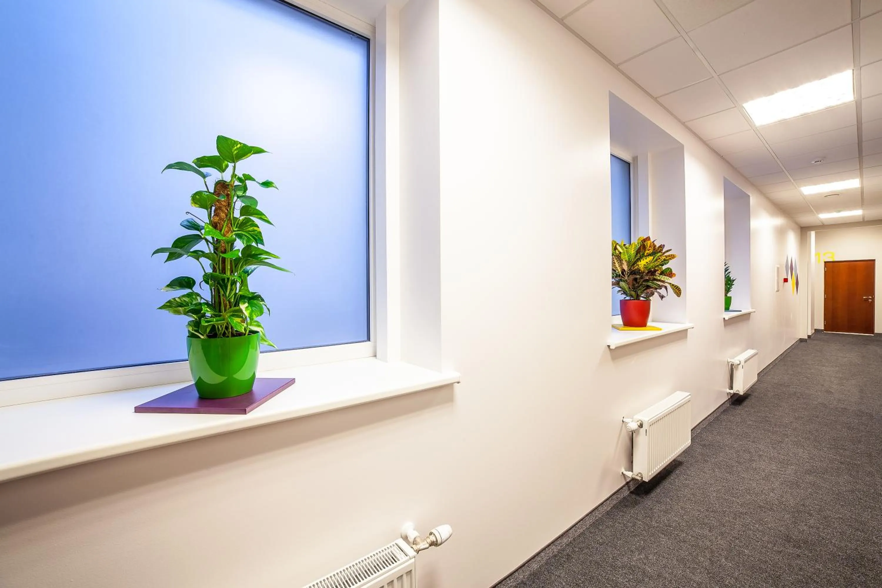 Decorative detail in Mosaic Hotel