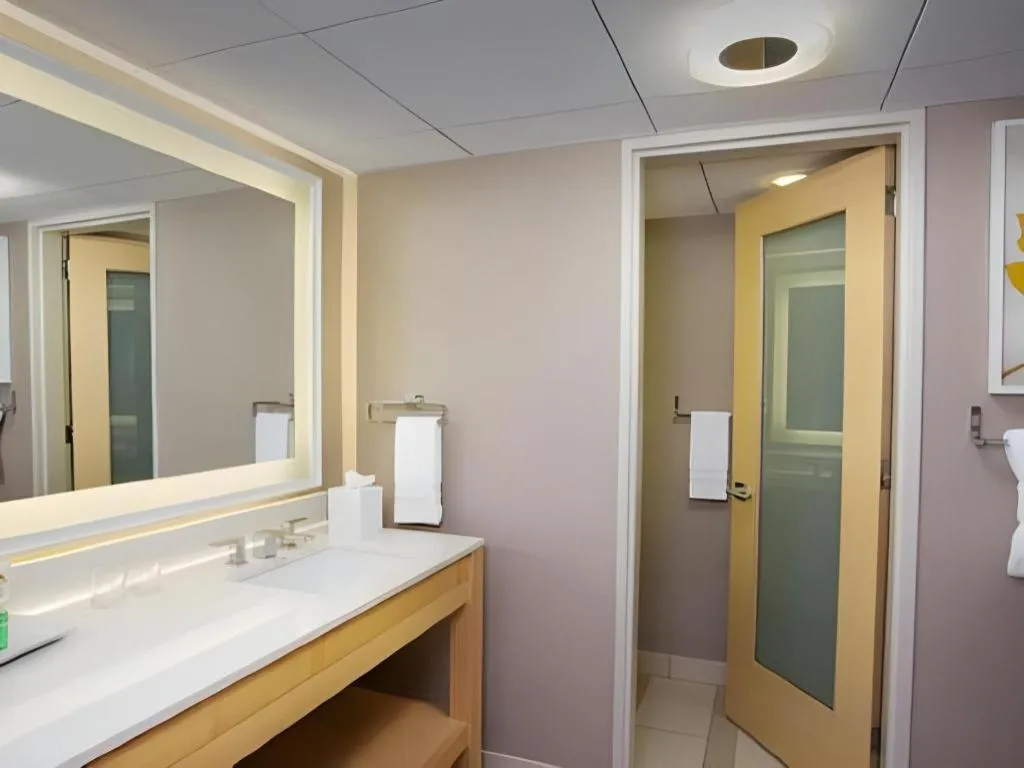 Disney's Contemporary Resort