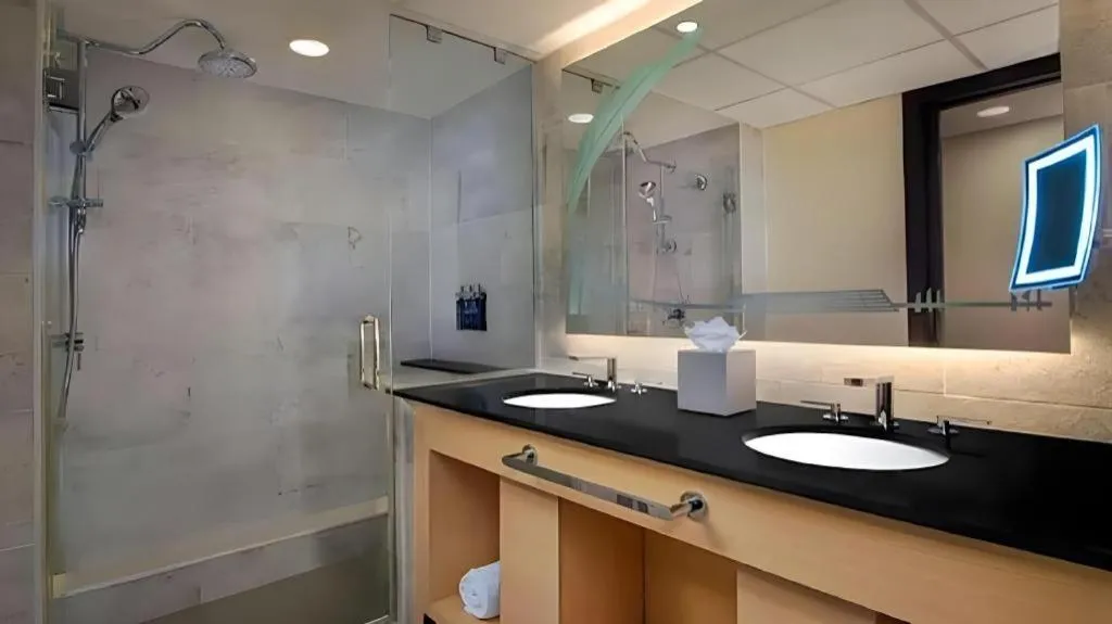 Disney's Contemporary Resort