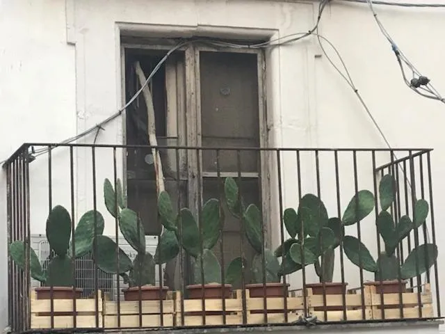 Casa Gisira