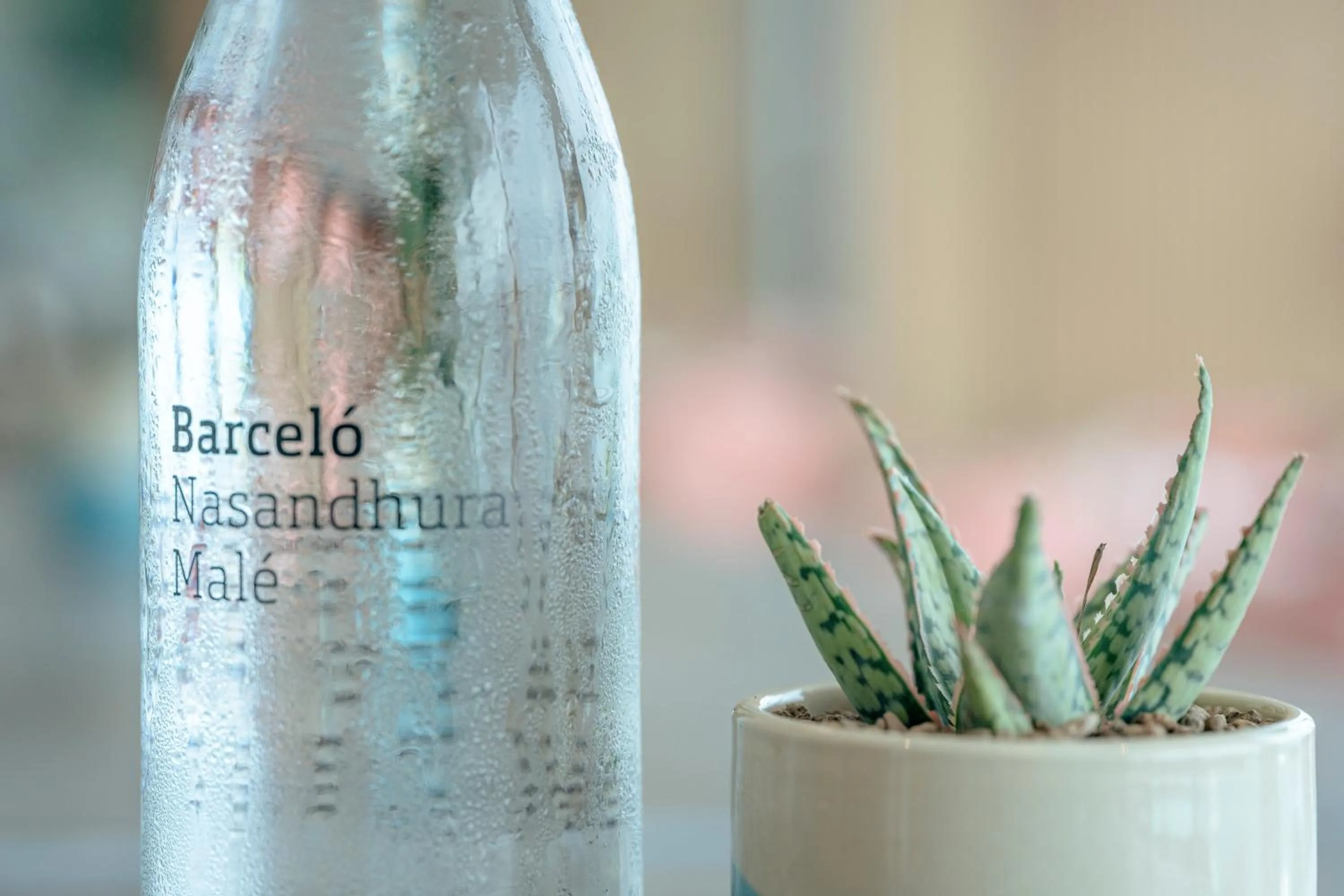 Restaurant/places to eat in Barceló Nasandhura Male