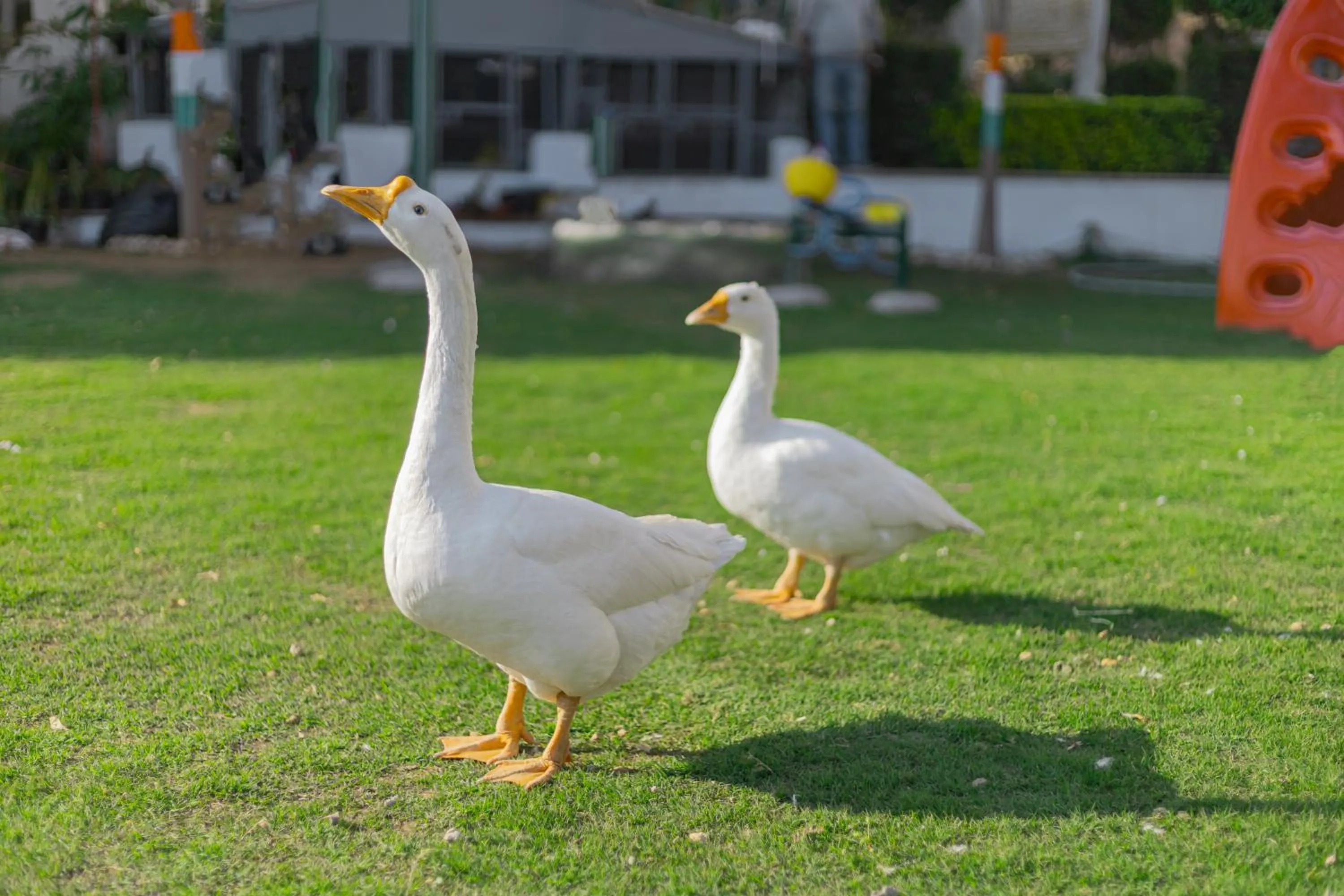 Clarks Resort , Ajmer