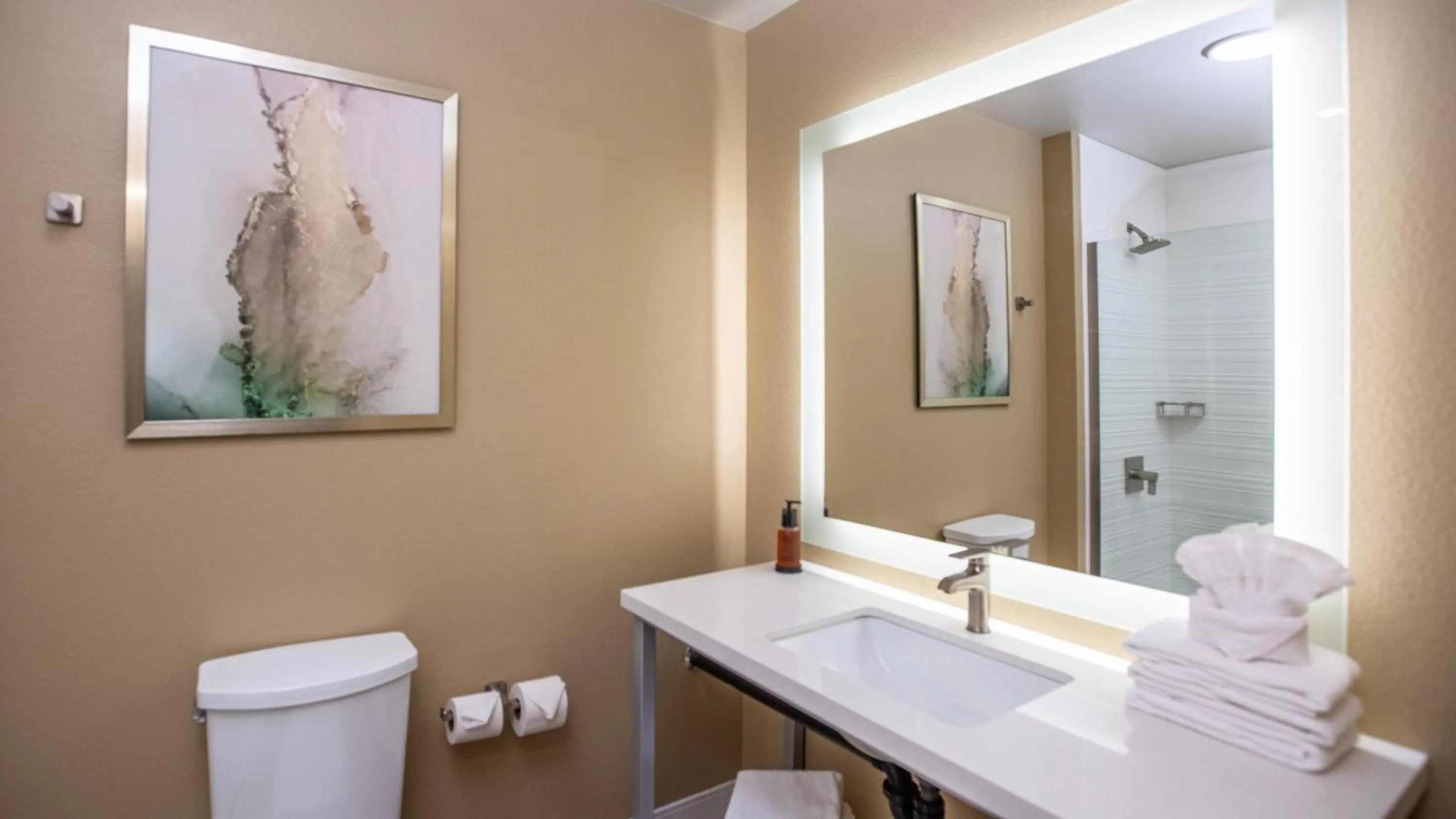 Toilet in Gold Dust West