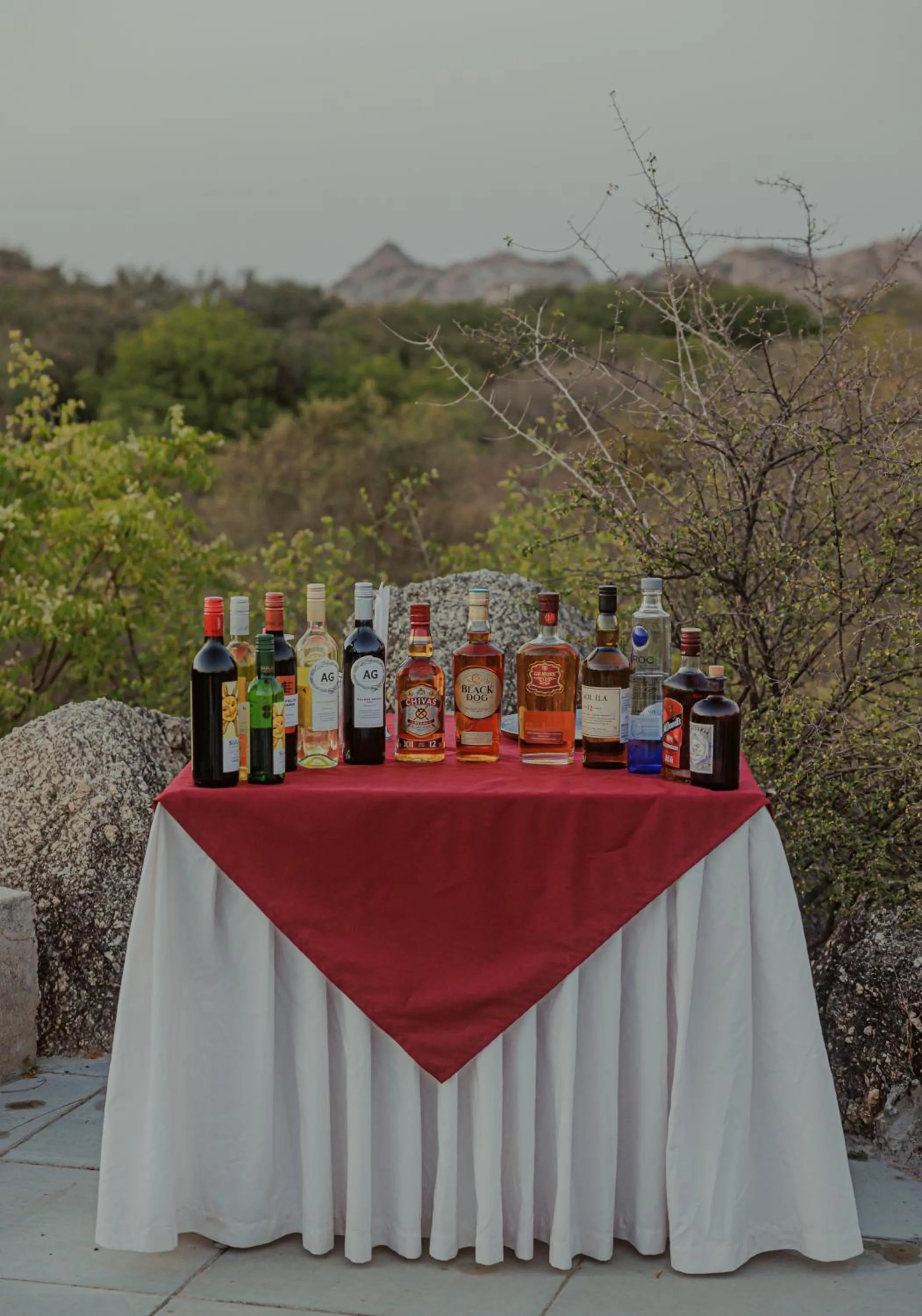 Alcoholic drinks in The Rawla Narlai - A Luxury Heritage Stay in Leopard Country
