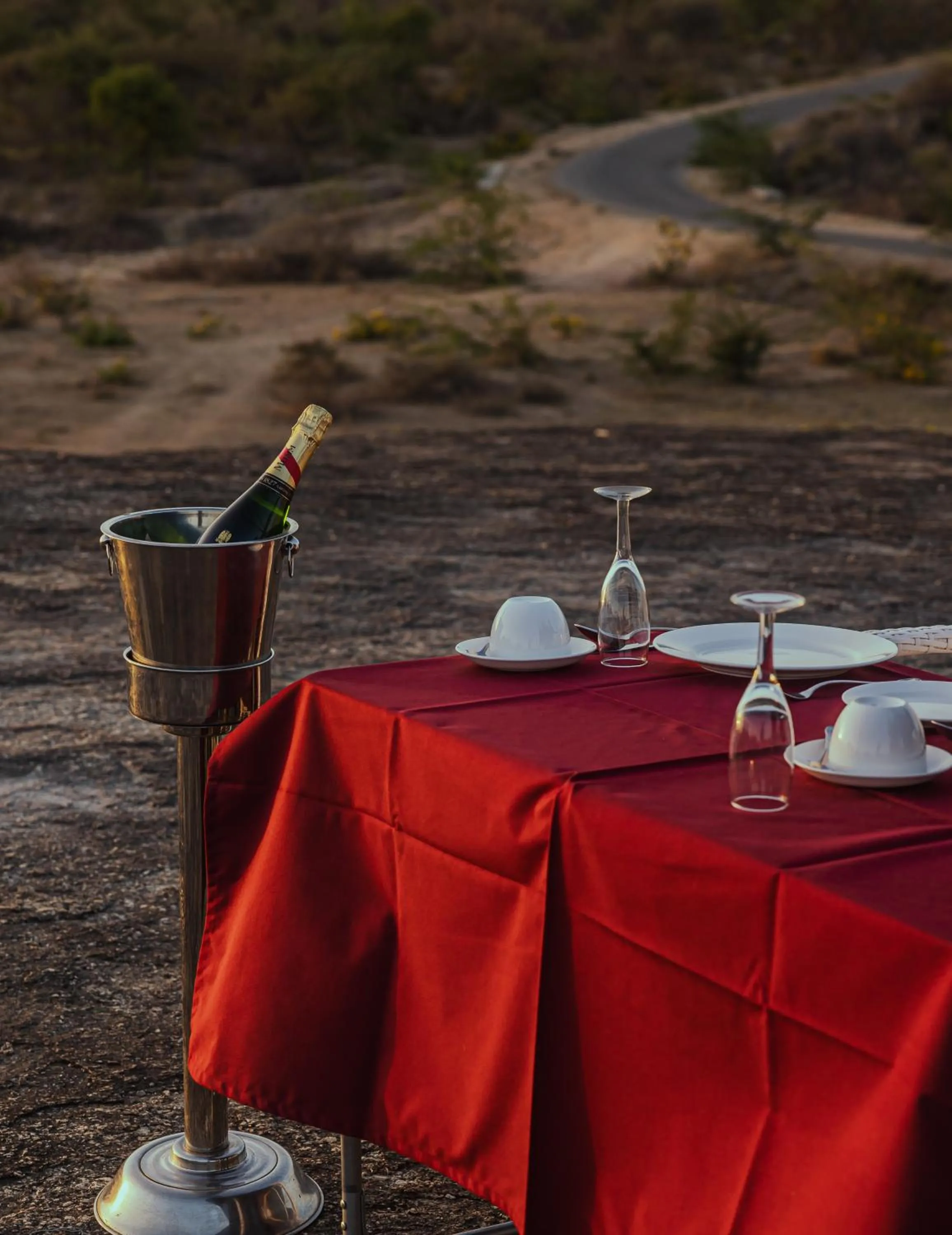 Food and drinks in The Rawla Narlai - A Luxury Heritage Stay in Leopard Country